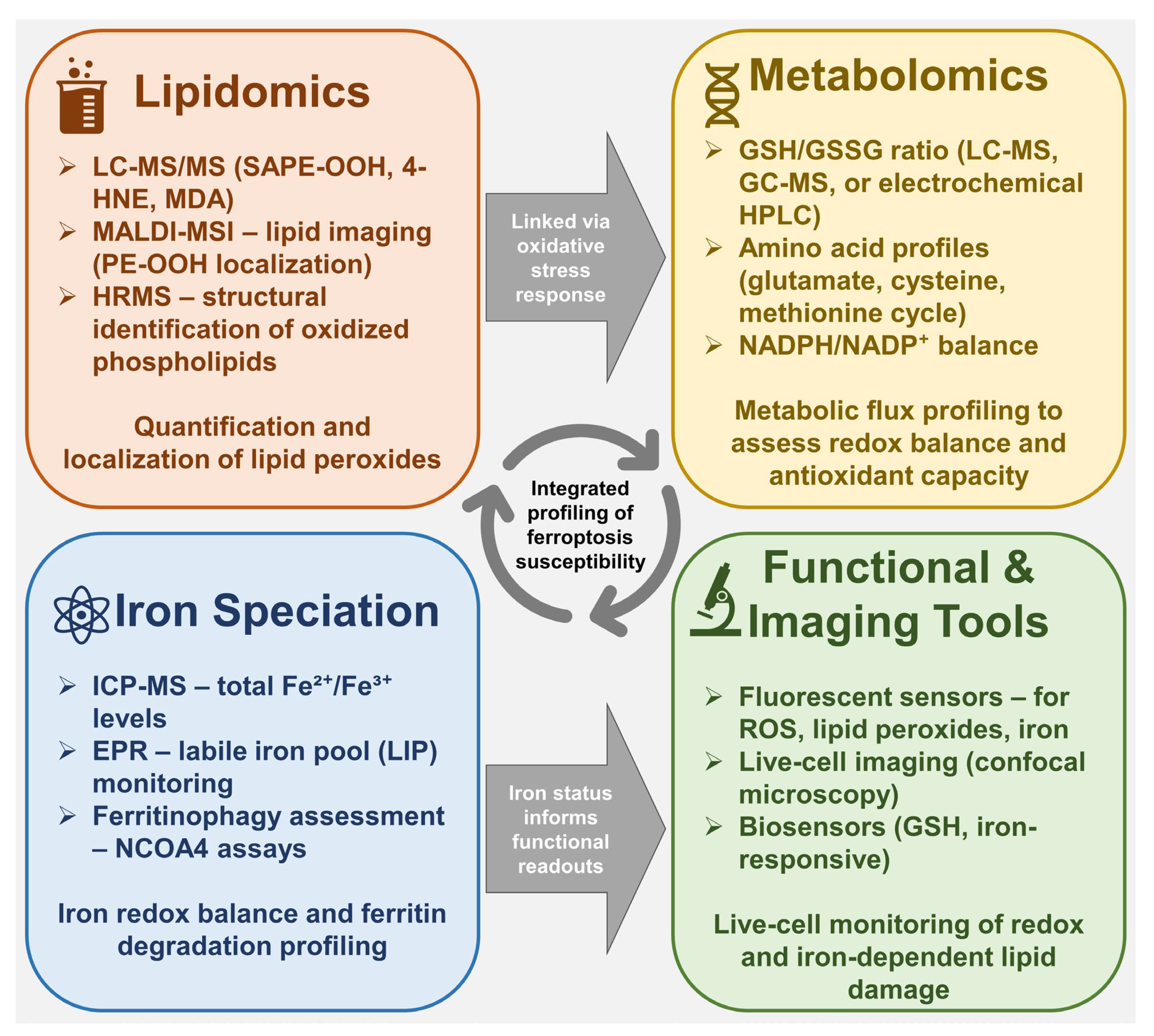 otto Ferroptosis and Metabolic Dysregulation: Emerging Chemical
