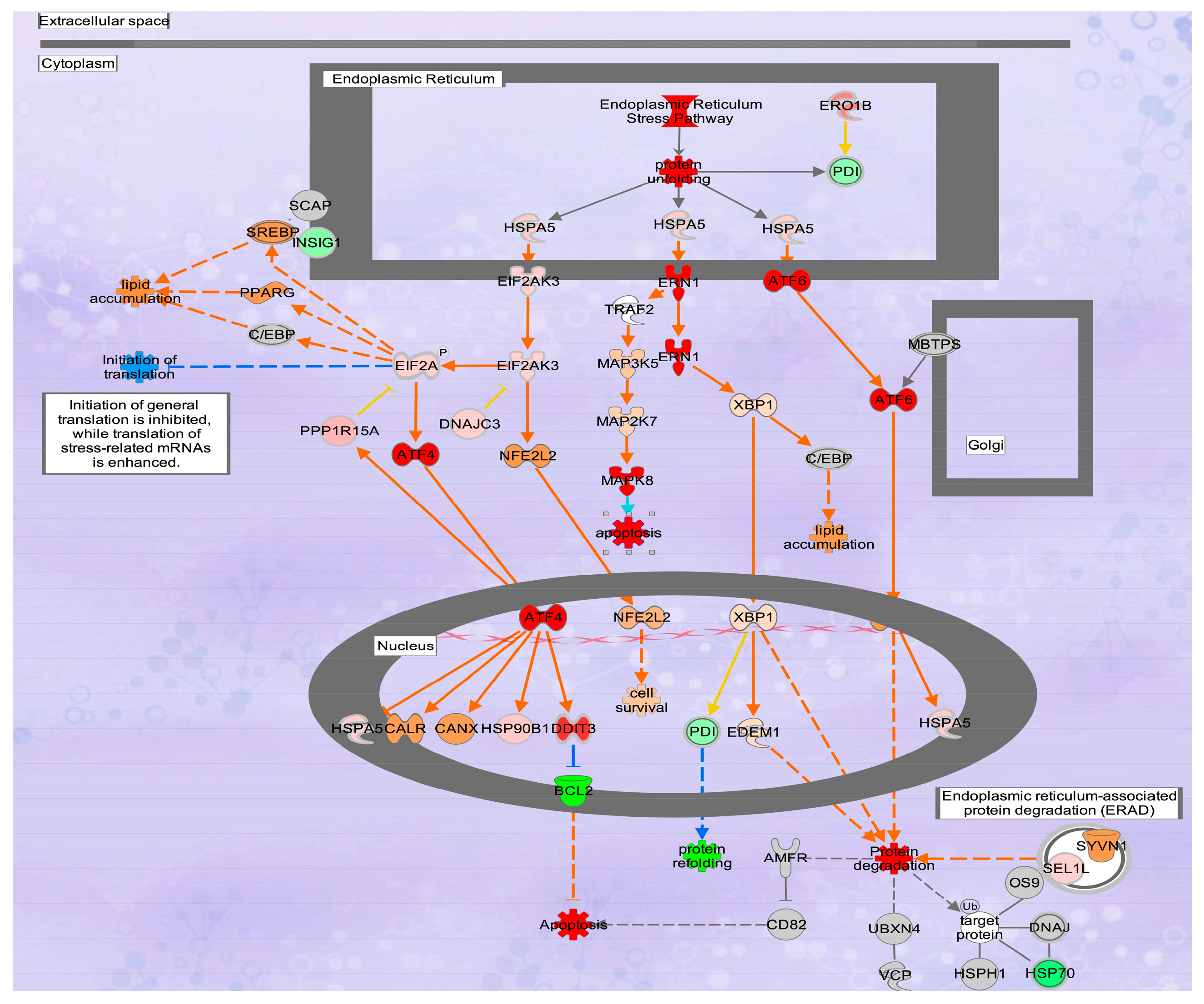 Molecules 30 03022 g008