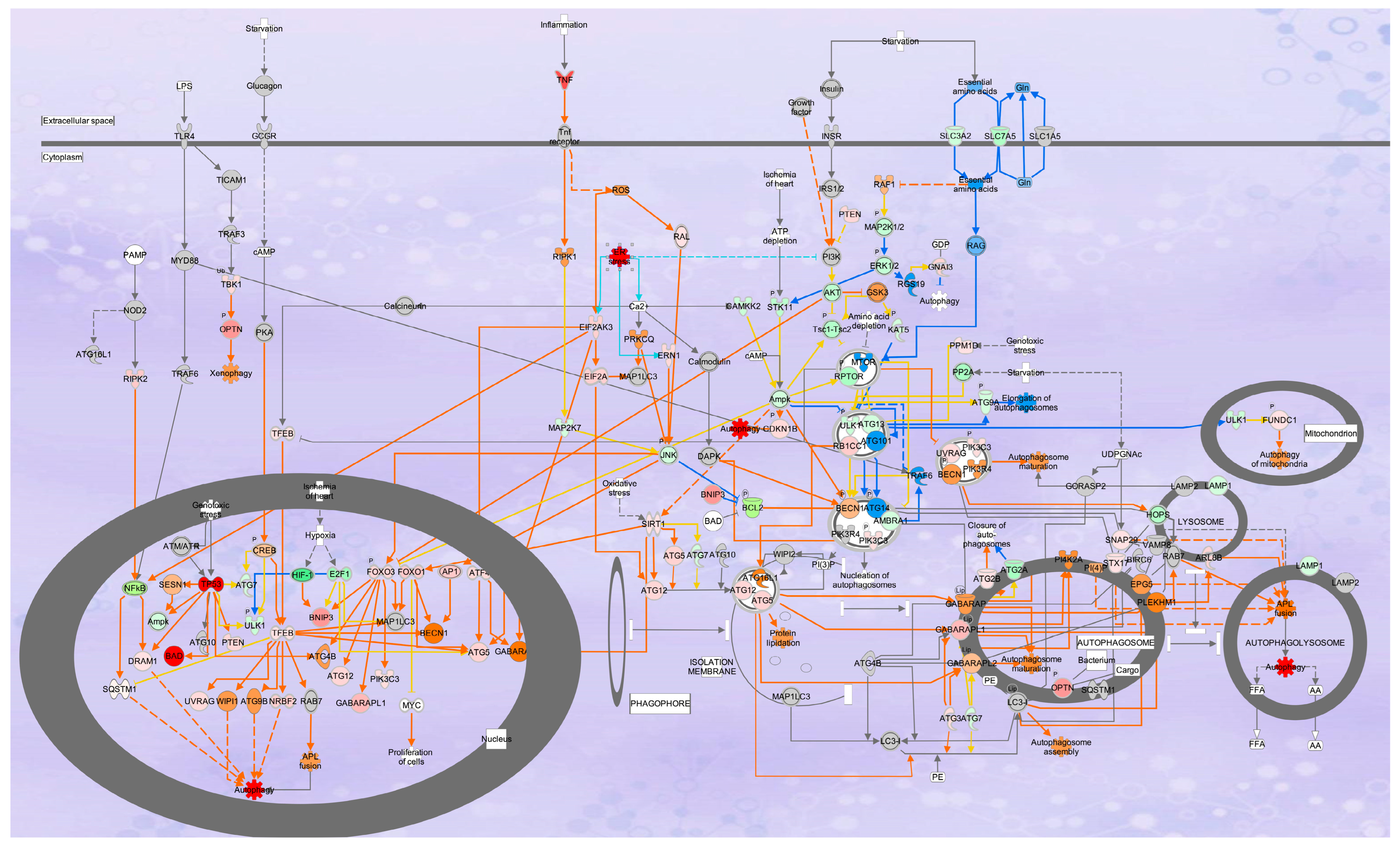 Molecules 30 03022 g010