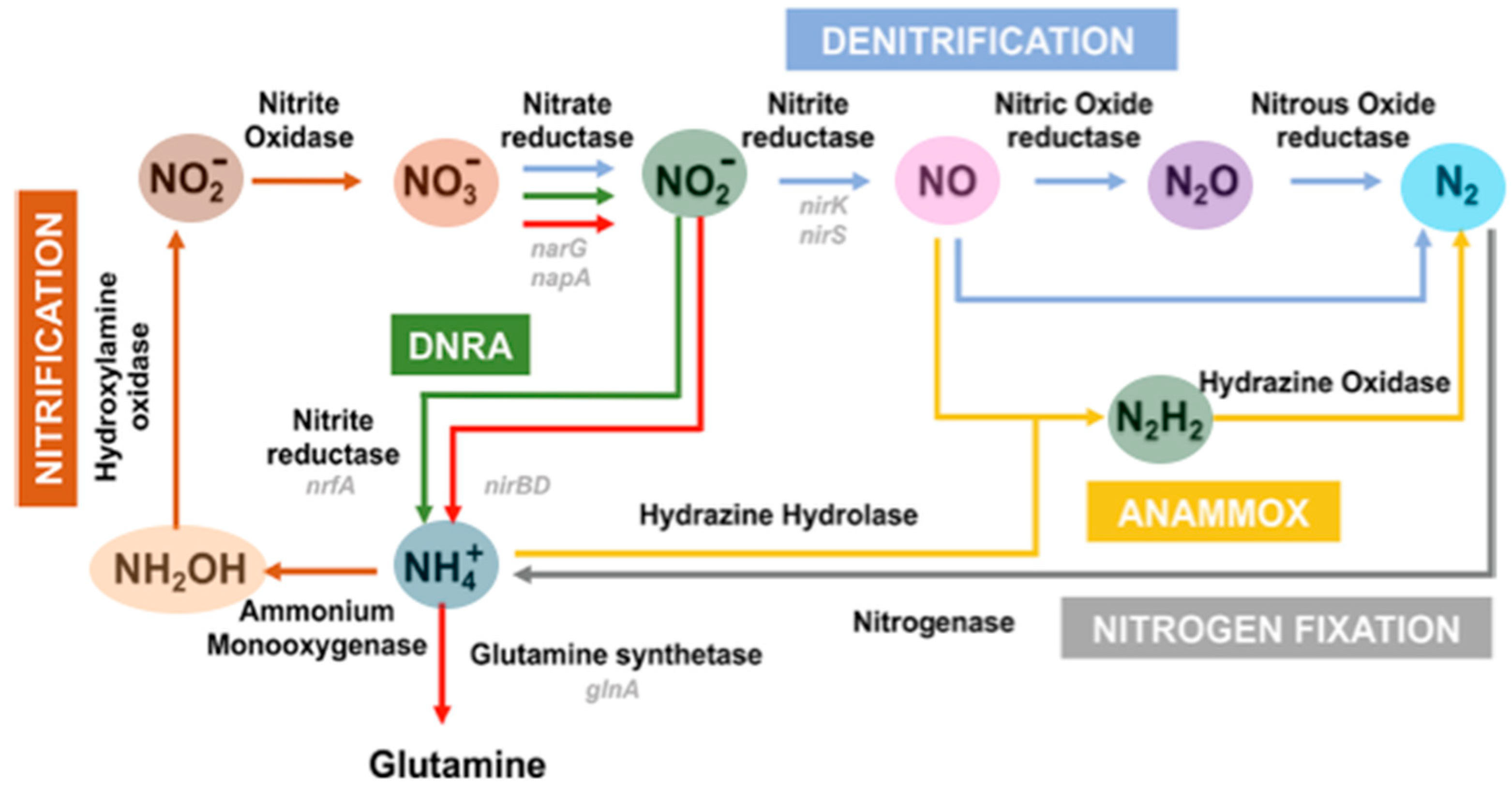Molecules 30 03023 g001
