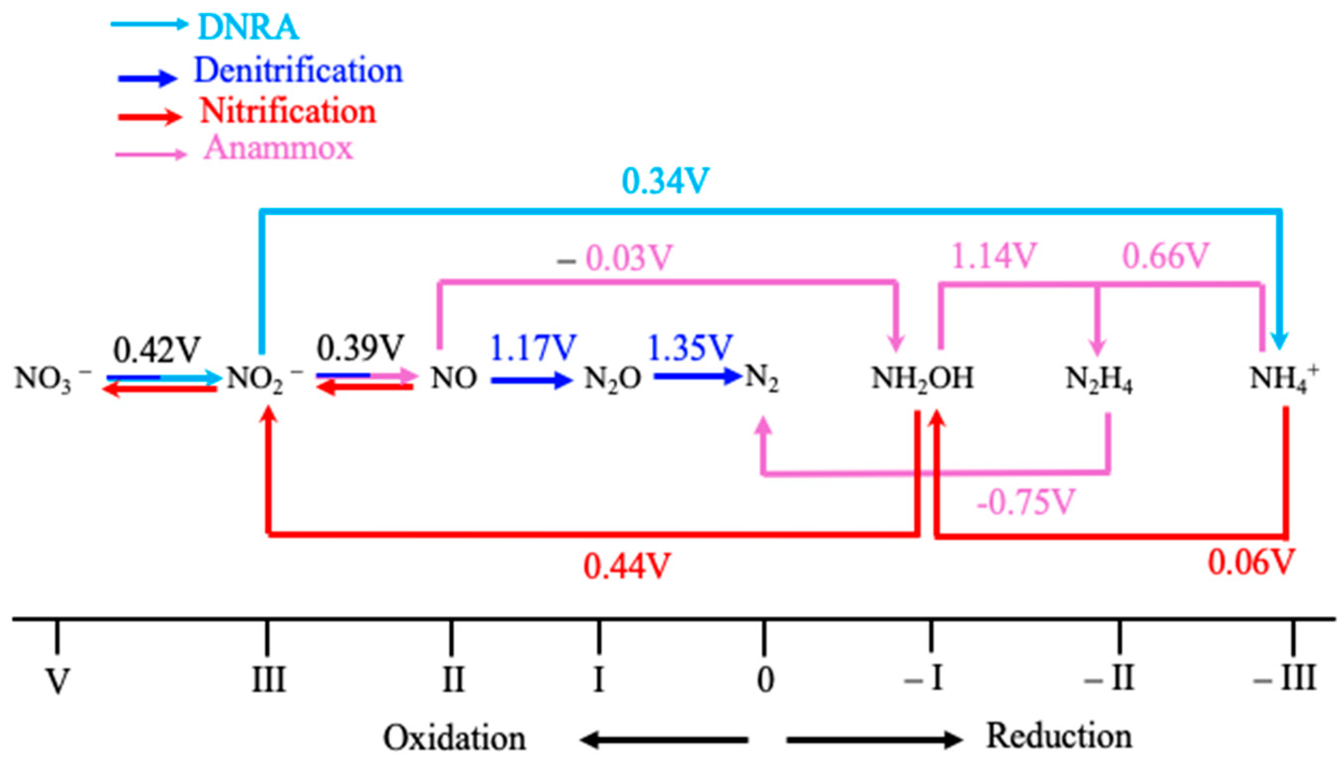 Molecules 30 03023 g003