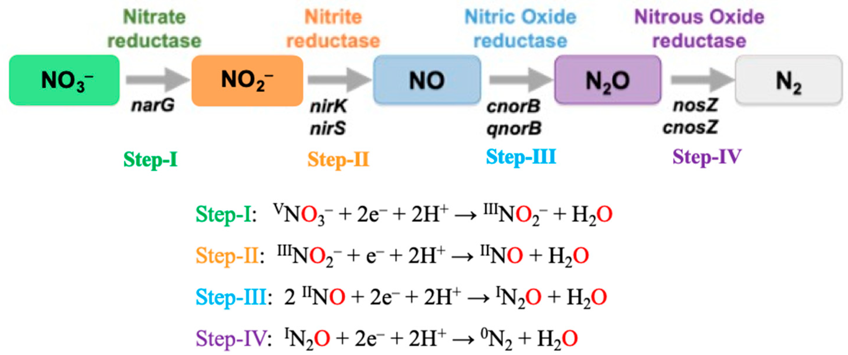 Molecules 30 03023 g004