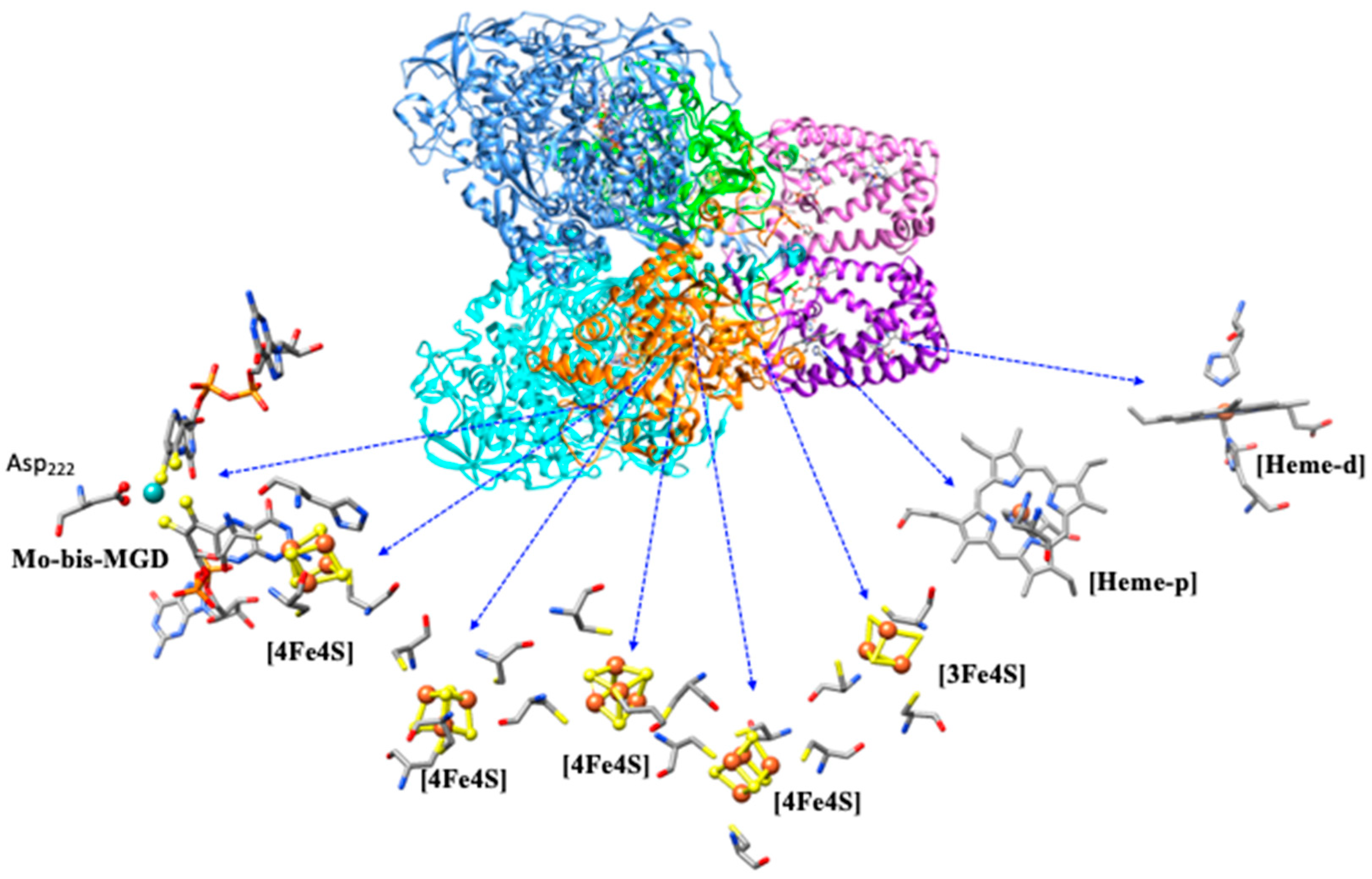 Molecules 30 03023 g006