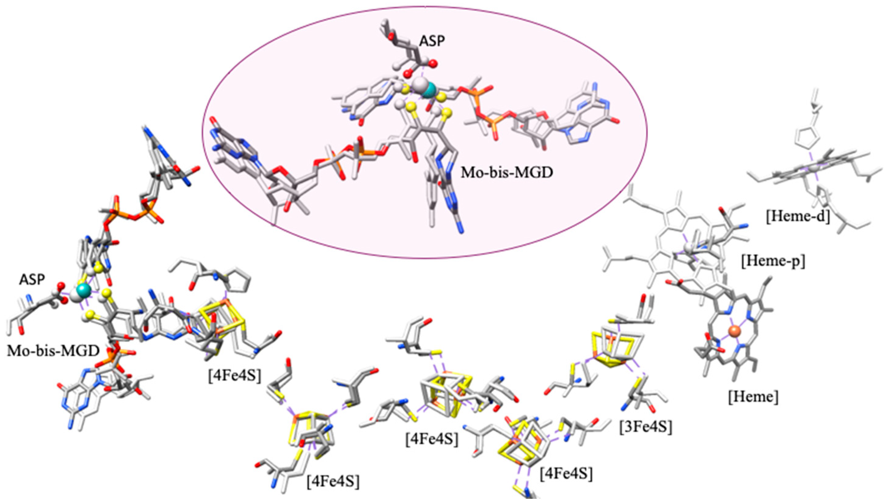 Molecules 30 03023 g010