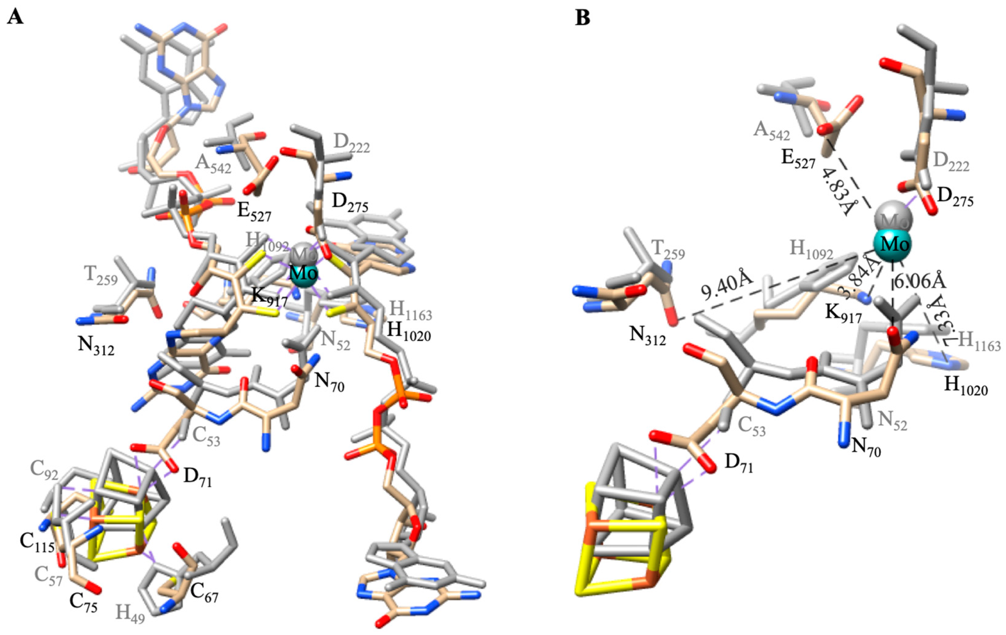 Molecules 30 03023 g011