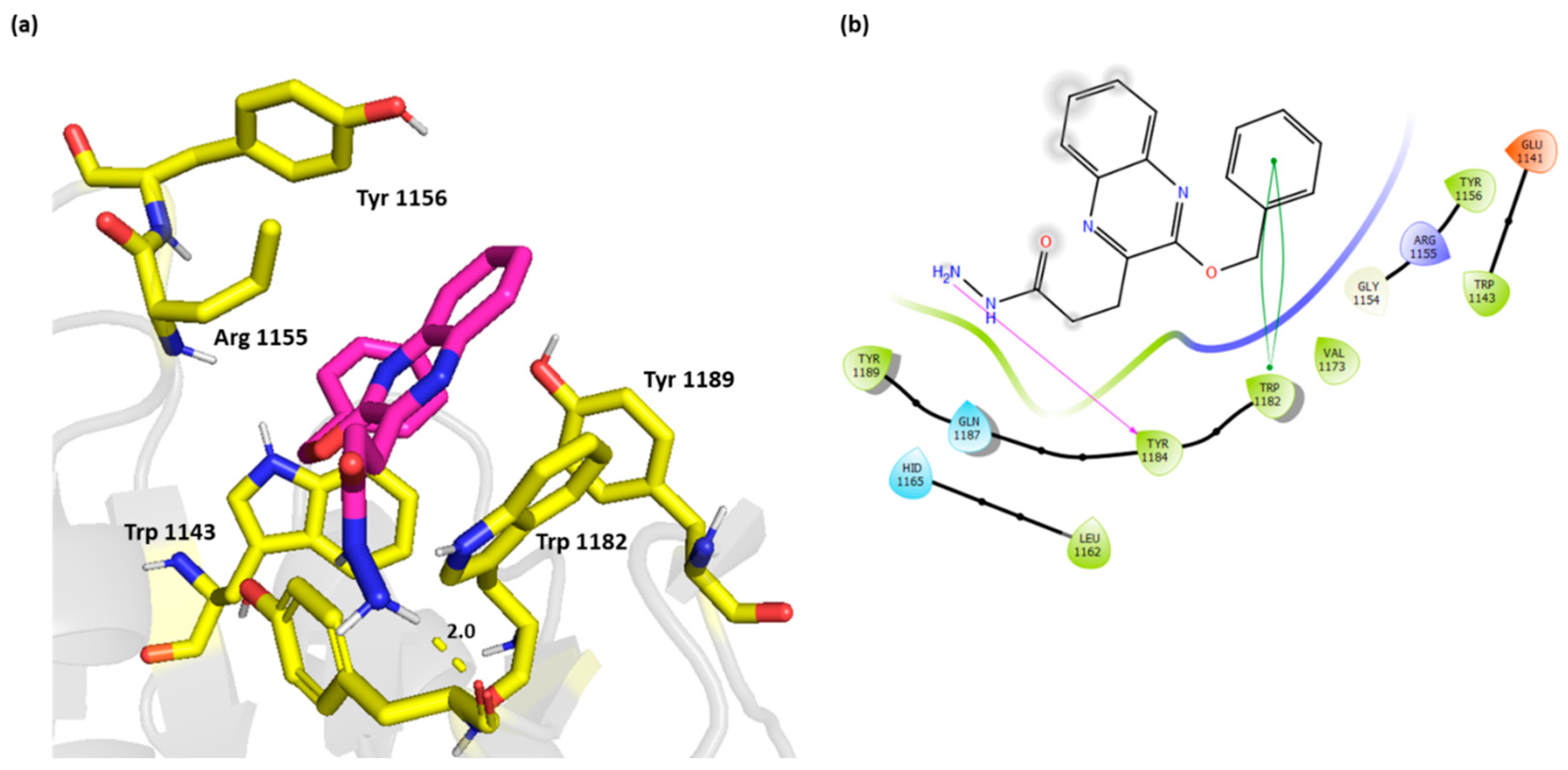 Molecules 30 03025 g005