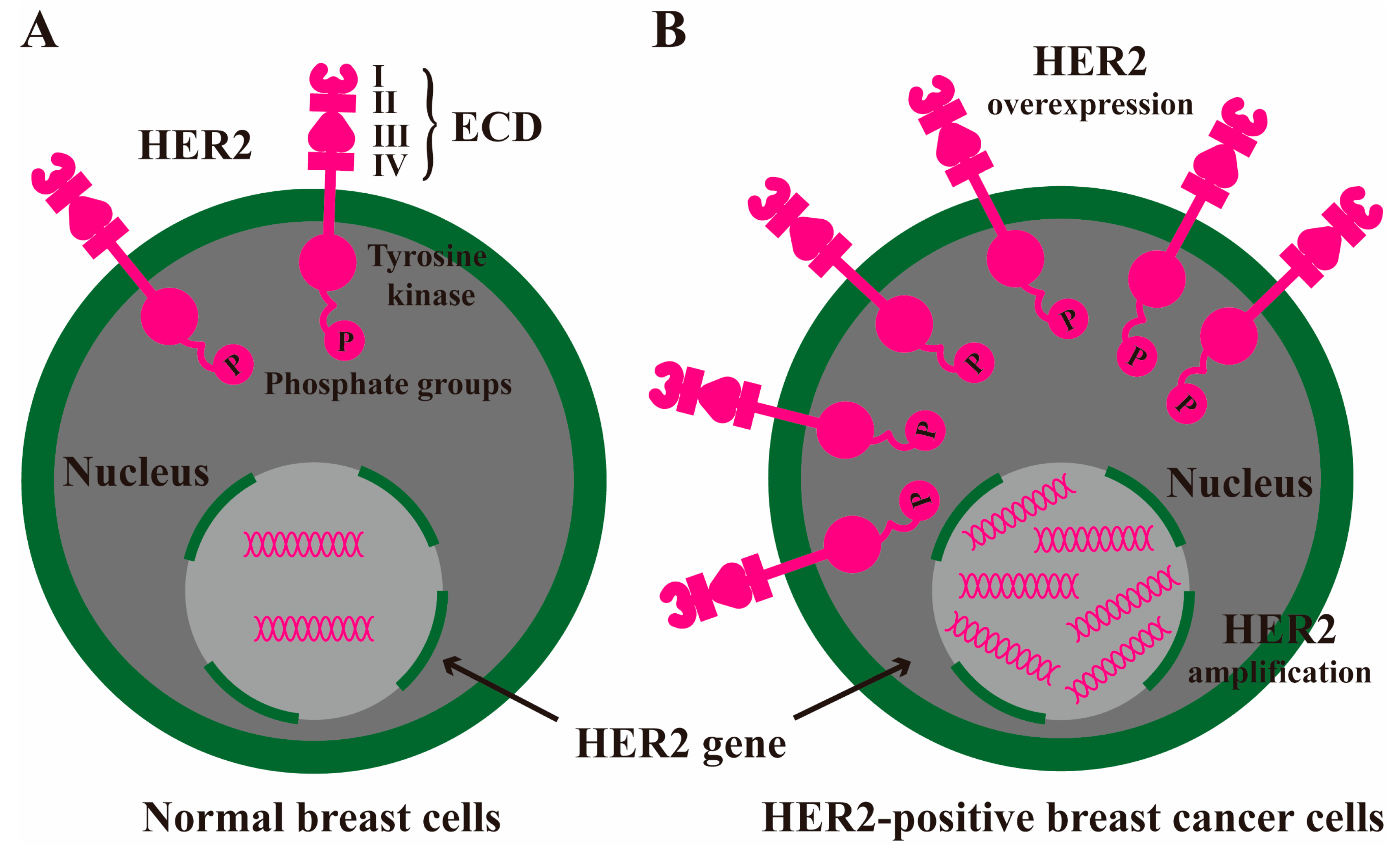 Molecules 30 03026 g001