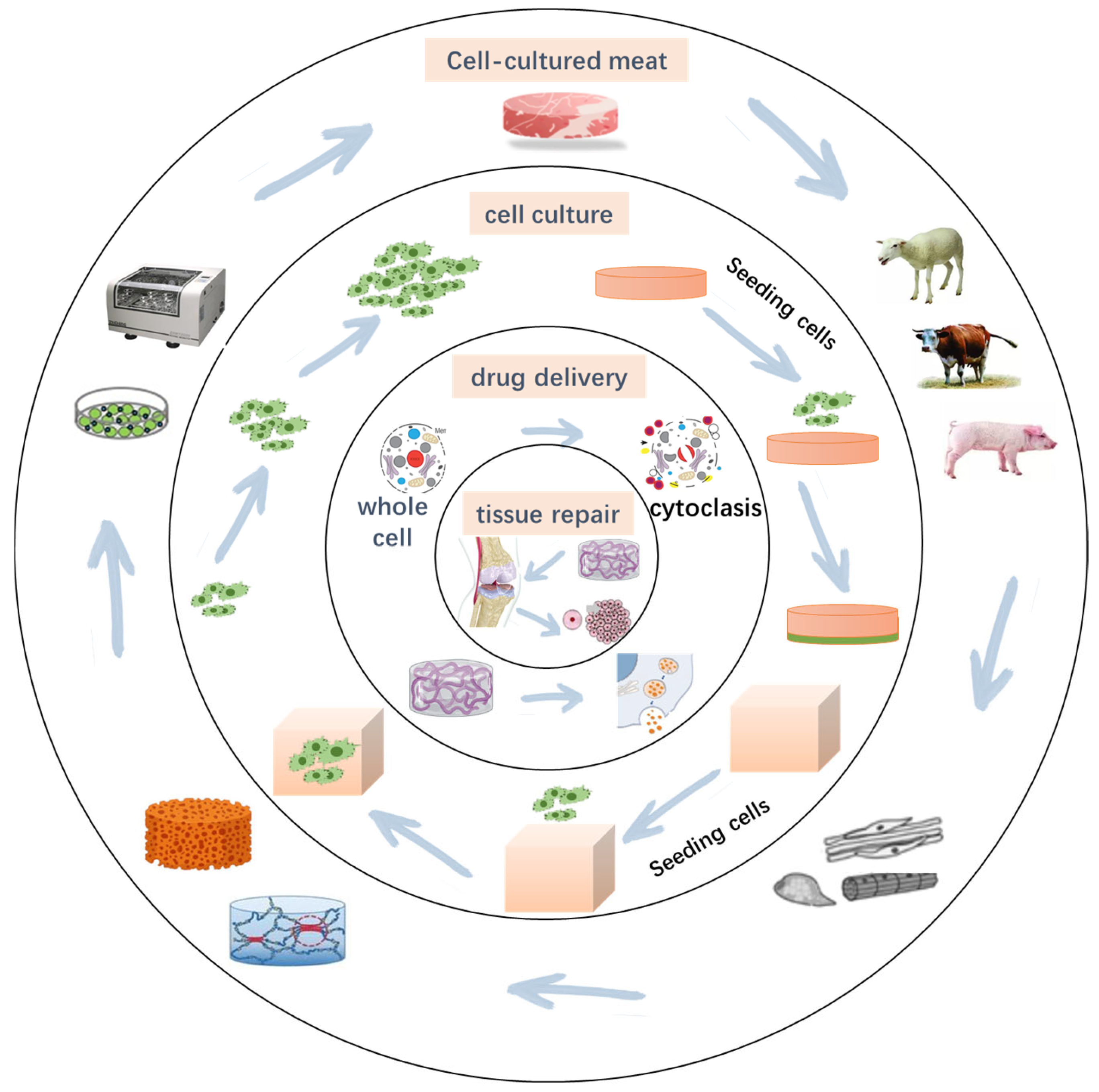 Molecules 30 03027 g001