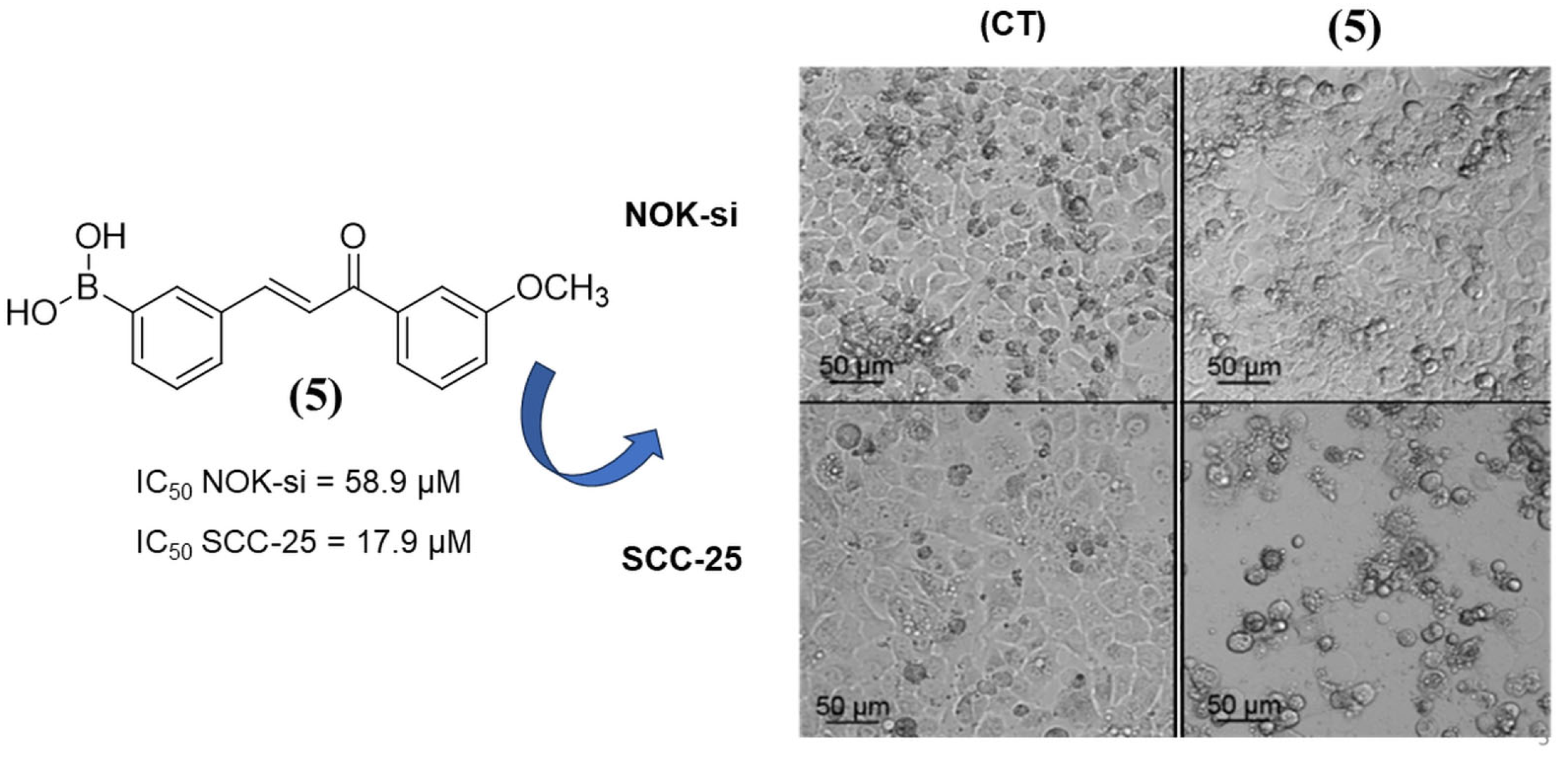 Molecules 30 03032 g002