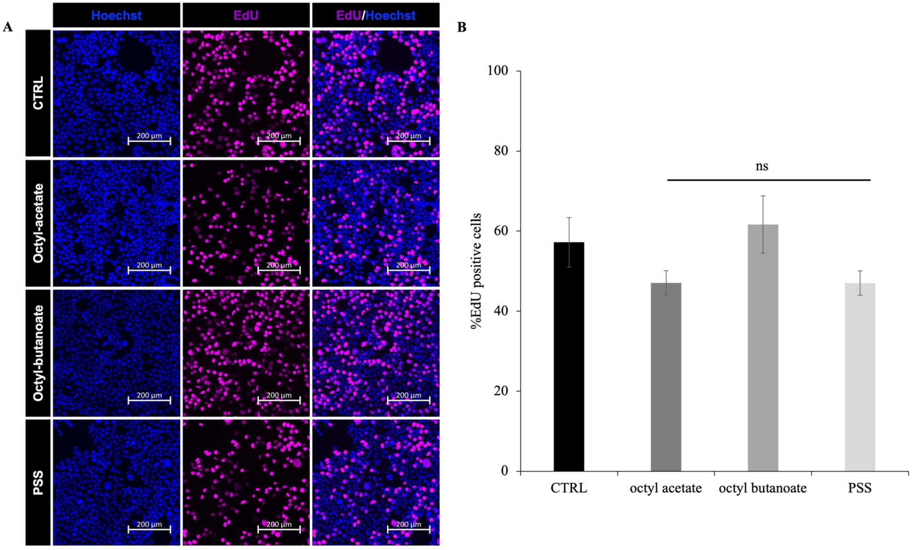 Molecules 30 03033 g007