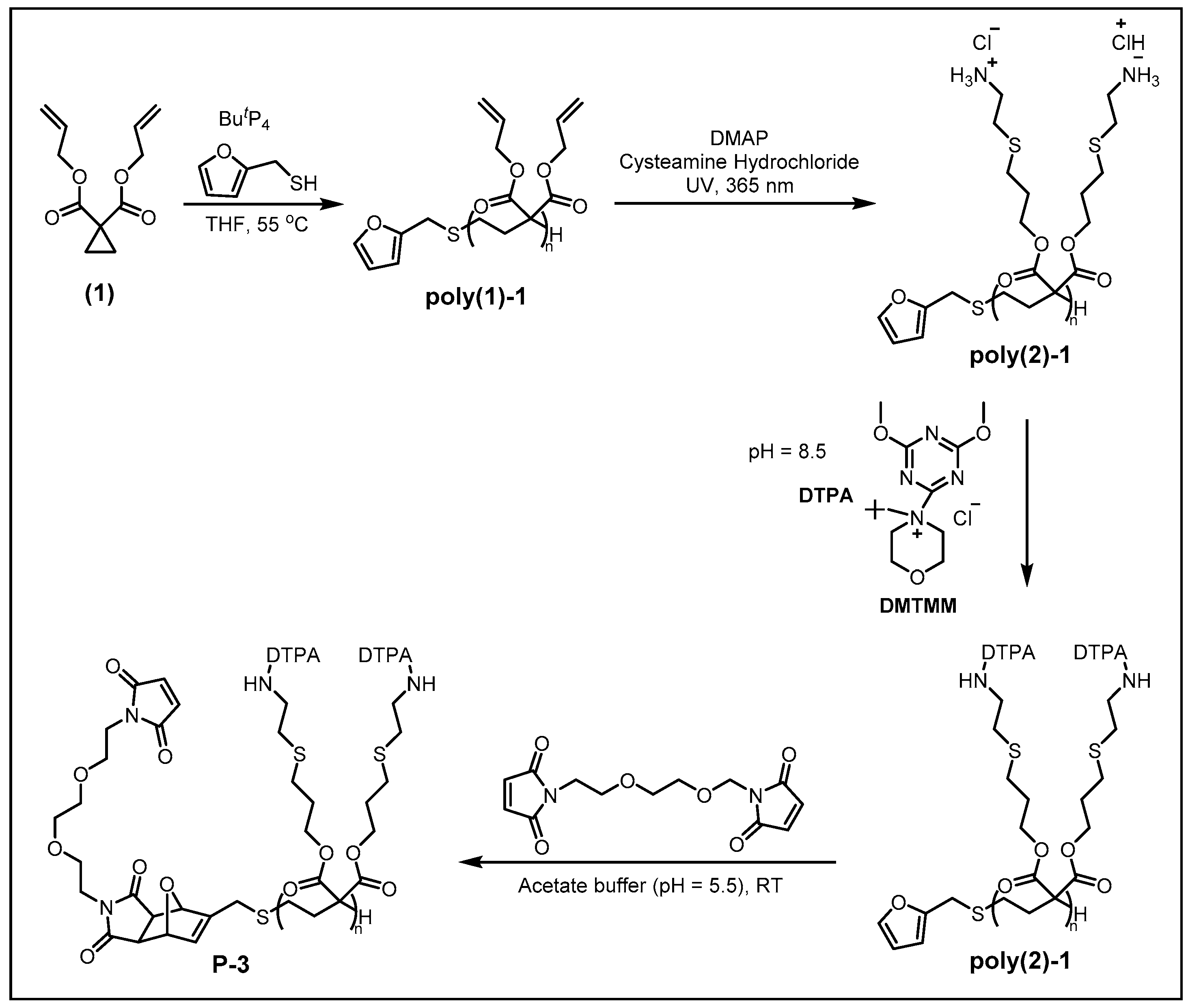 Molecules 30 03034 g005