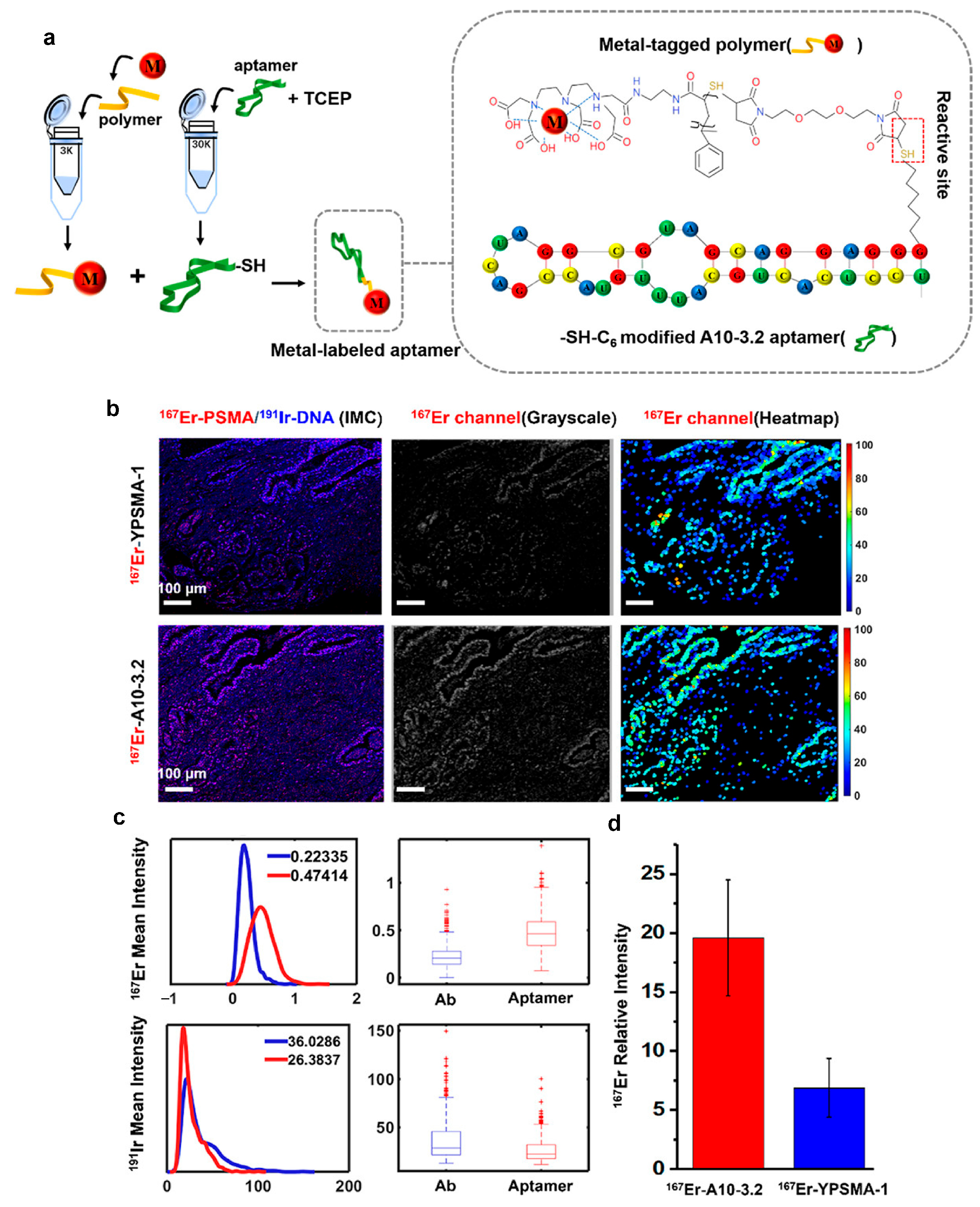 Molecules 30 03034 g008