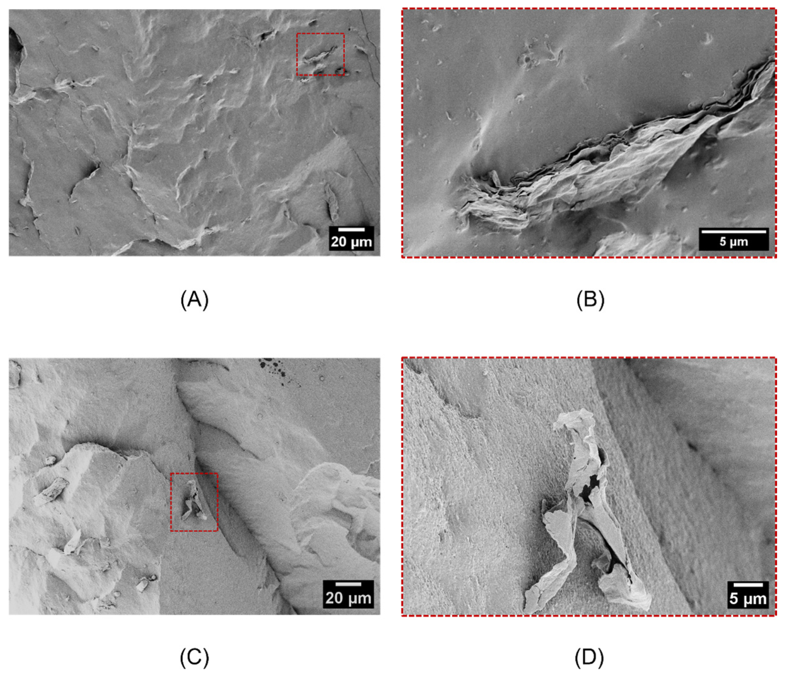 Molecules 30 03035 g002