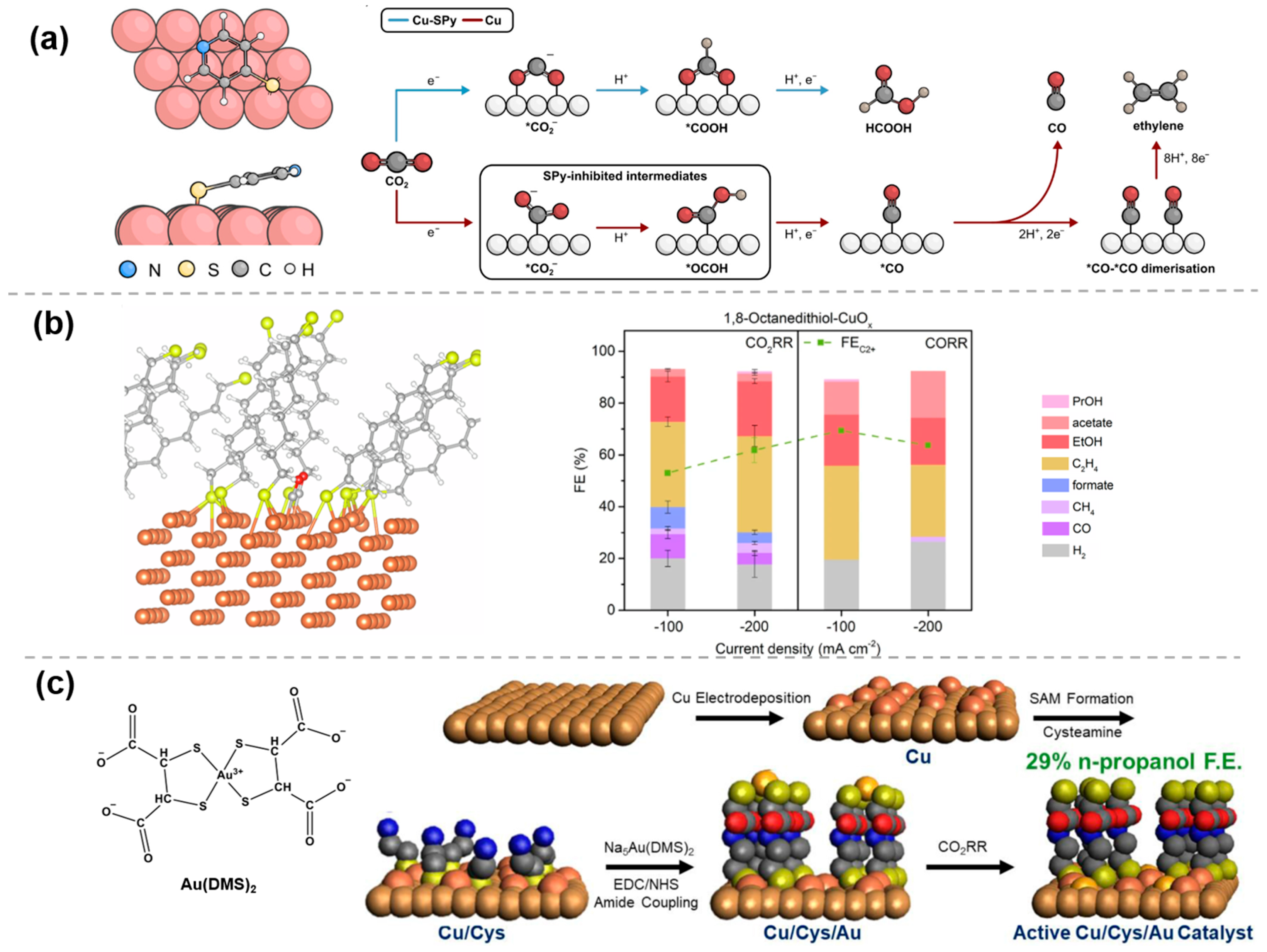 Molecules 30 03038 g001