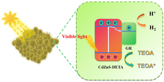 CdZnS Nanowire Decorated with Graphene for Efficient