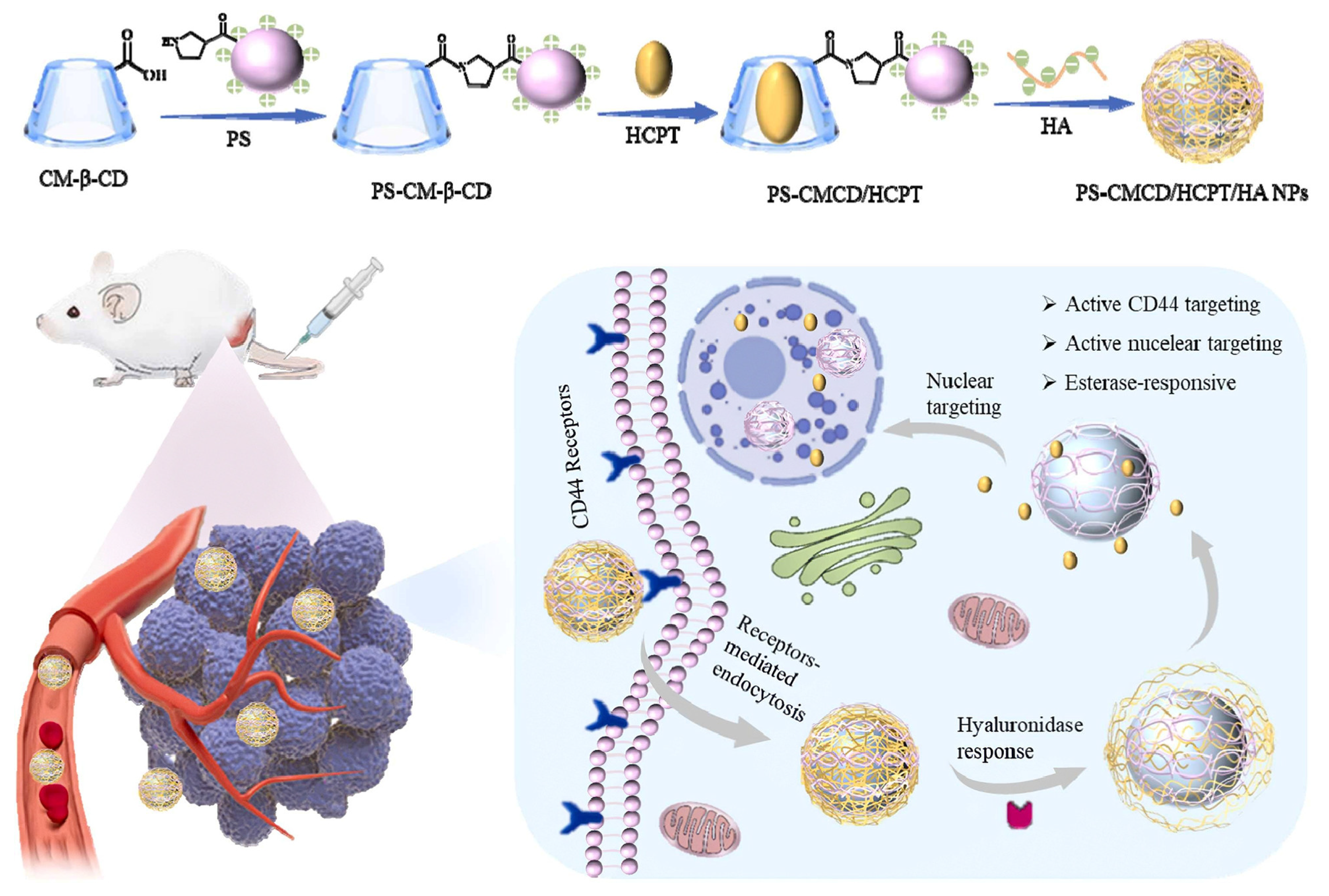 Molecules 30 03044 g007