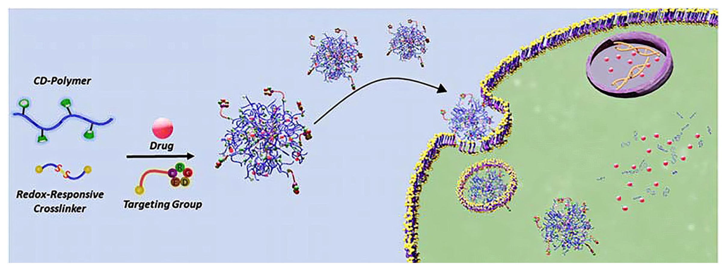 Molecules 30 03044 g009