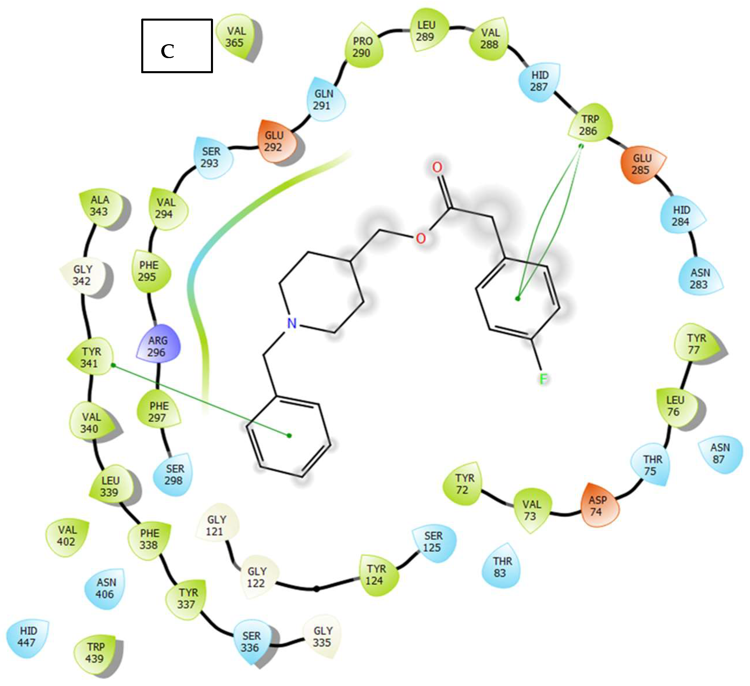 Molecules 30 03047 g006b