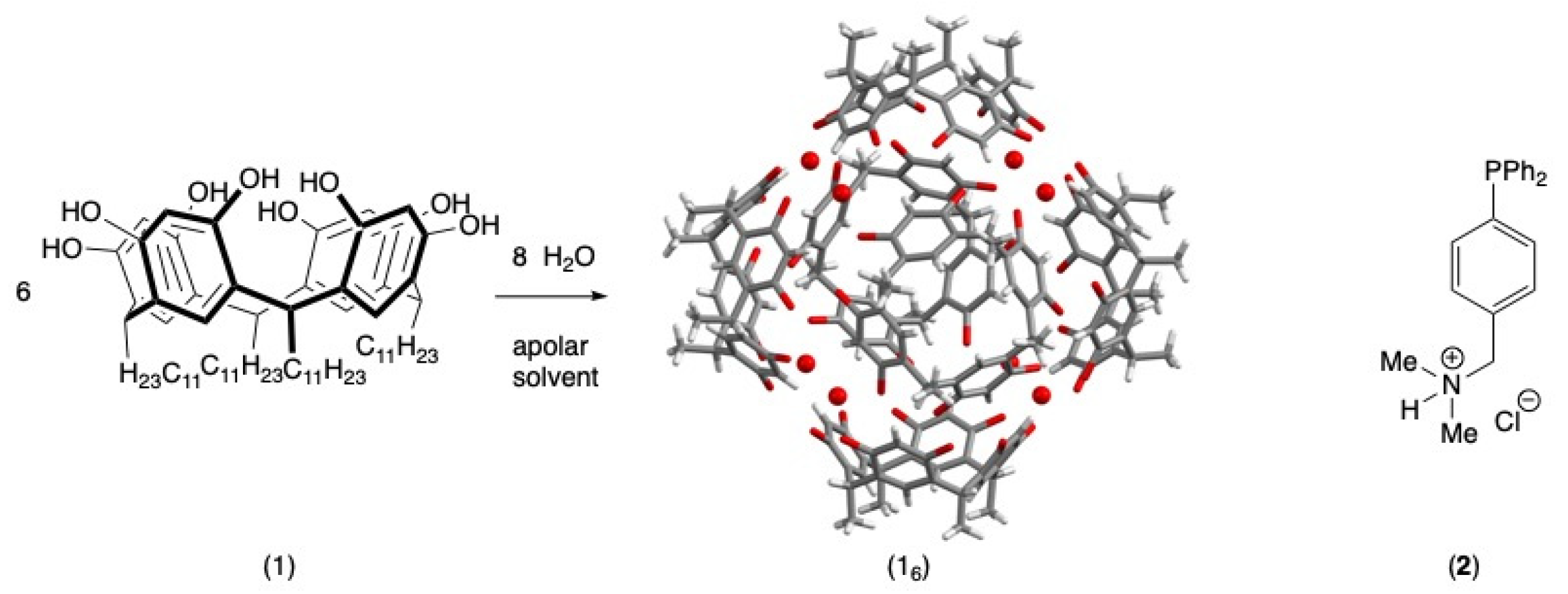Molecules 30 03052 g001
