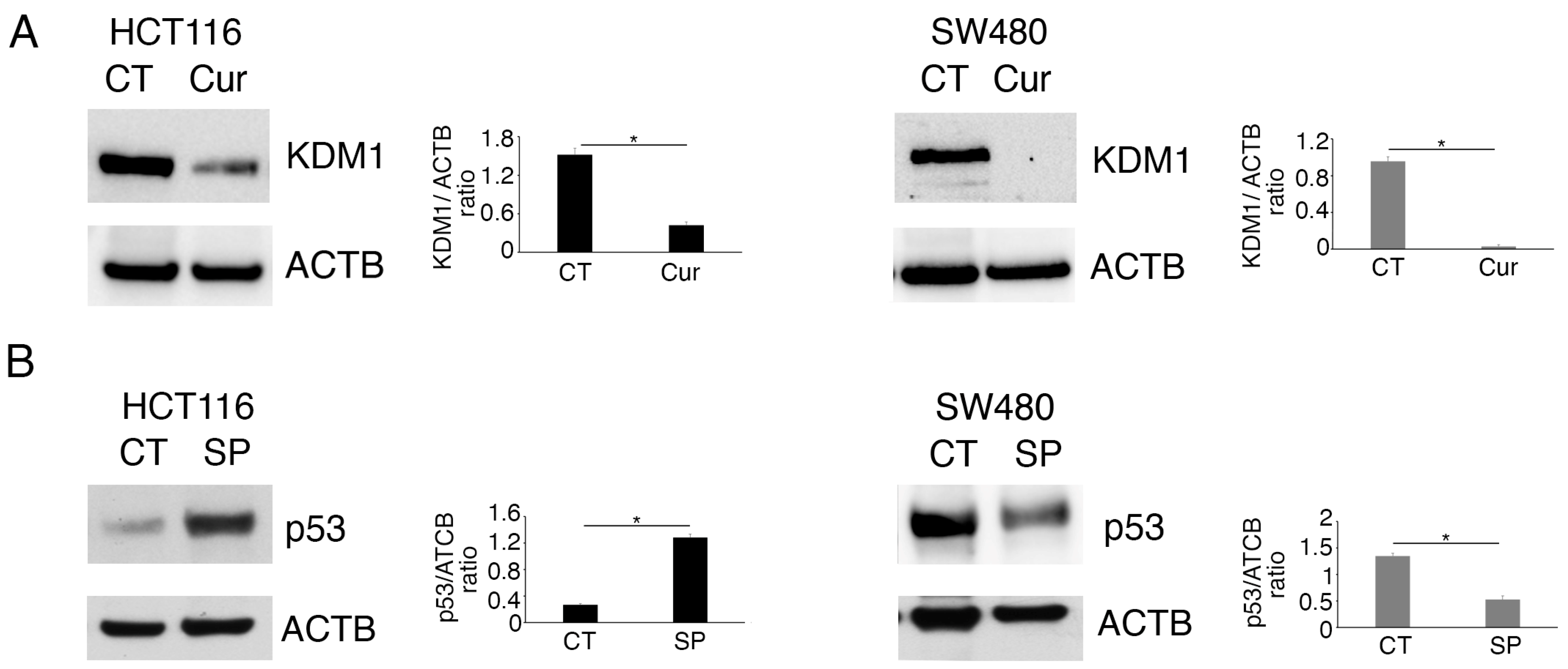 Molecules 30 03054 g002