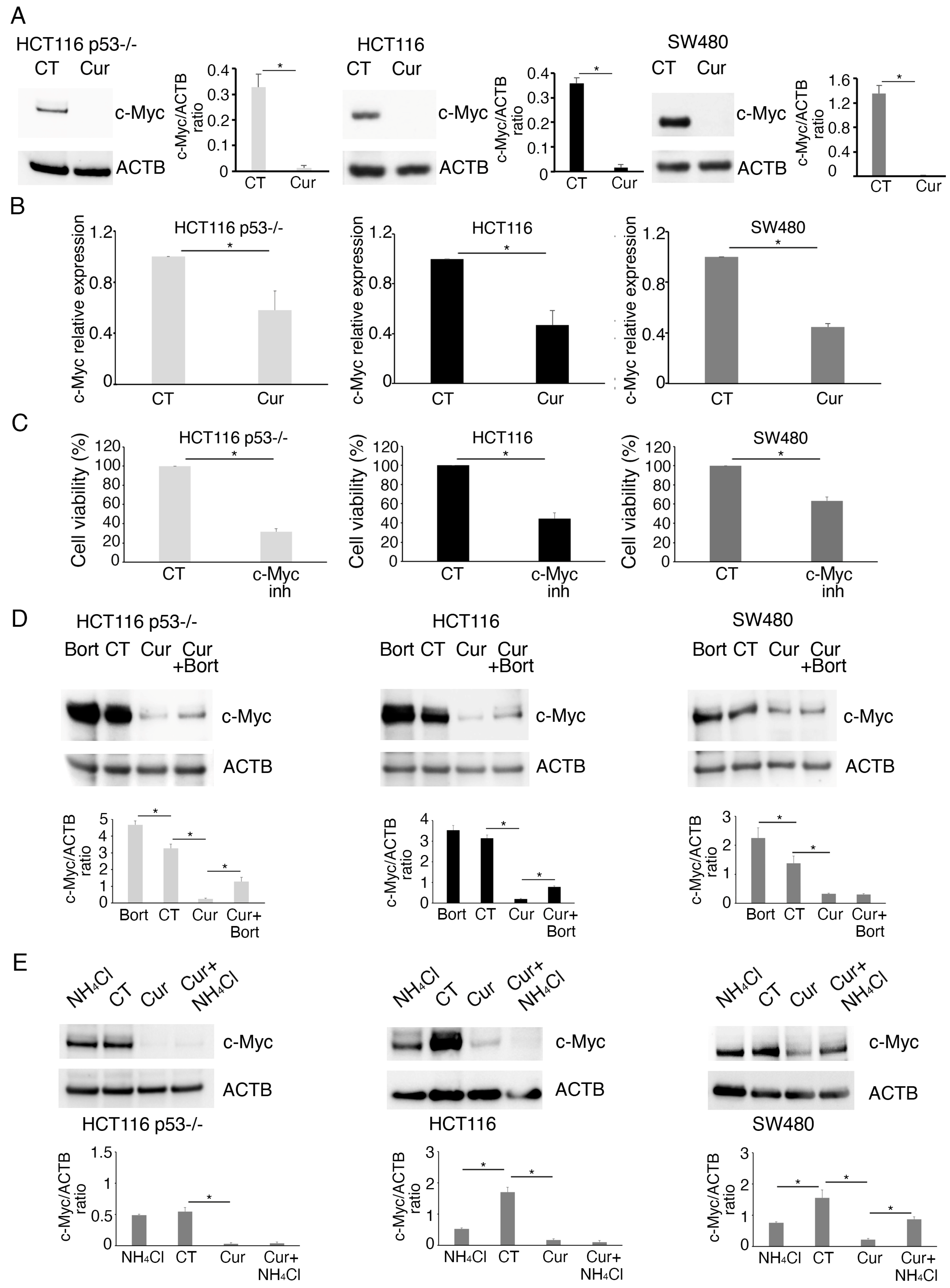 Molecules 30 03054 g004