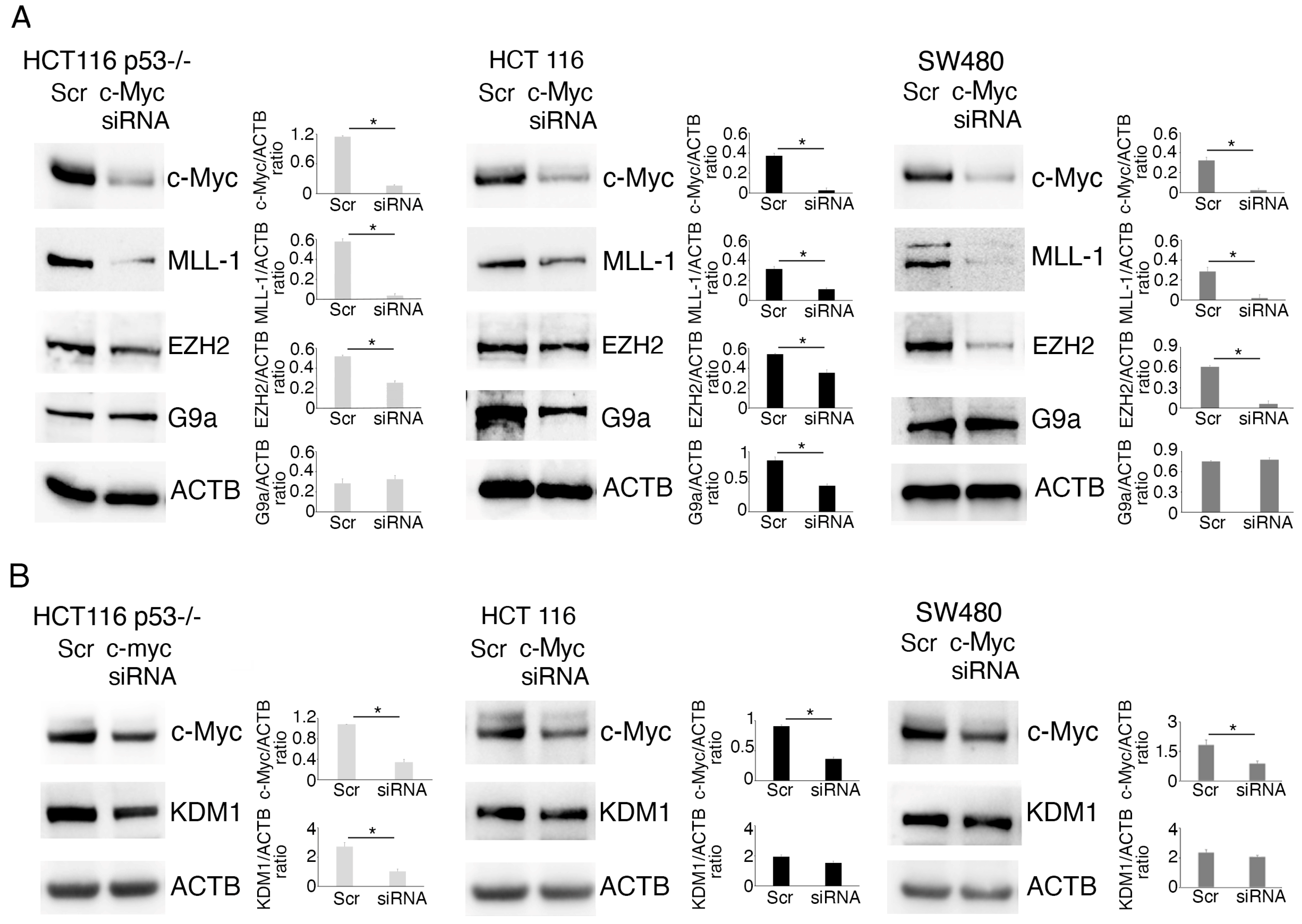 Molecules 30 03054 g007