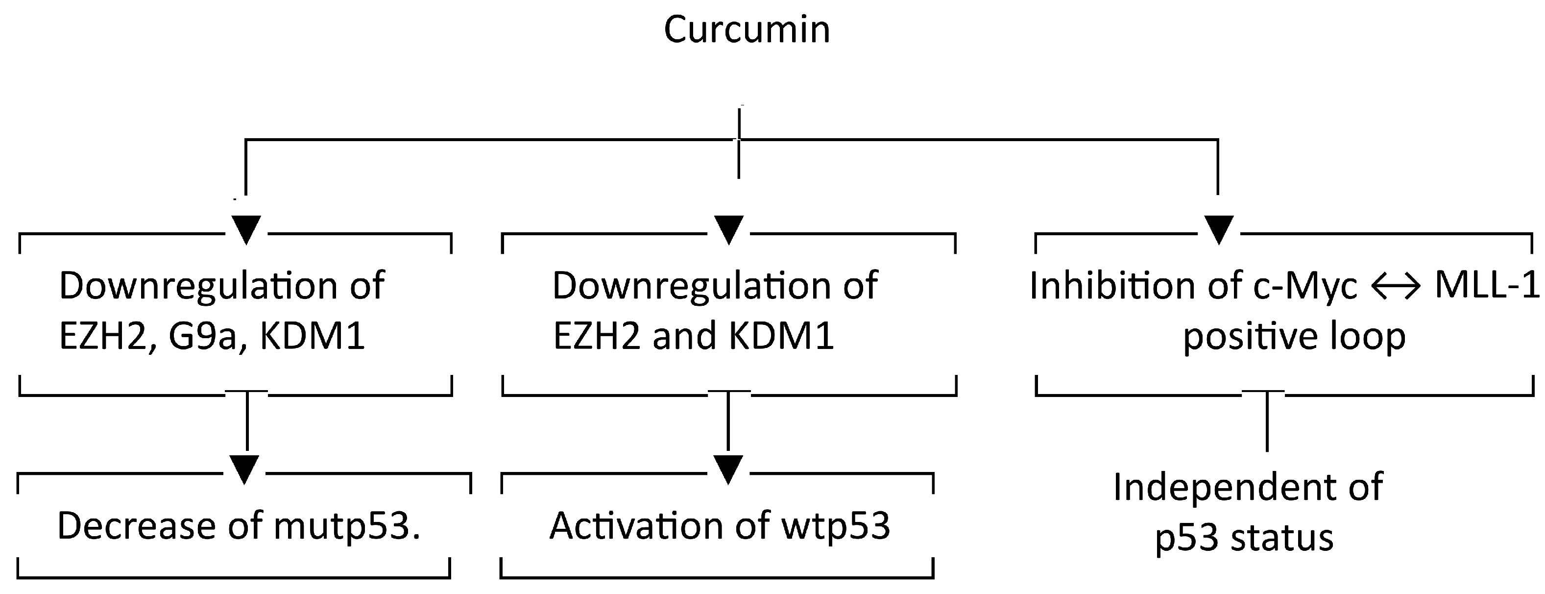 Molecules 30 03054 g008