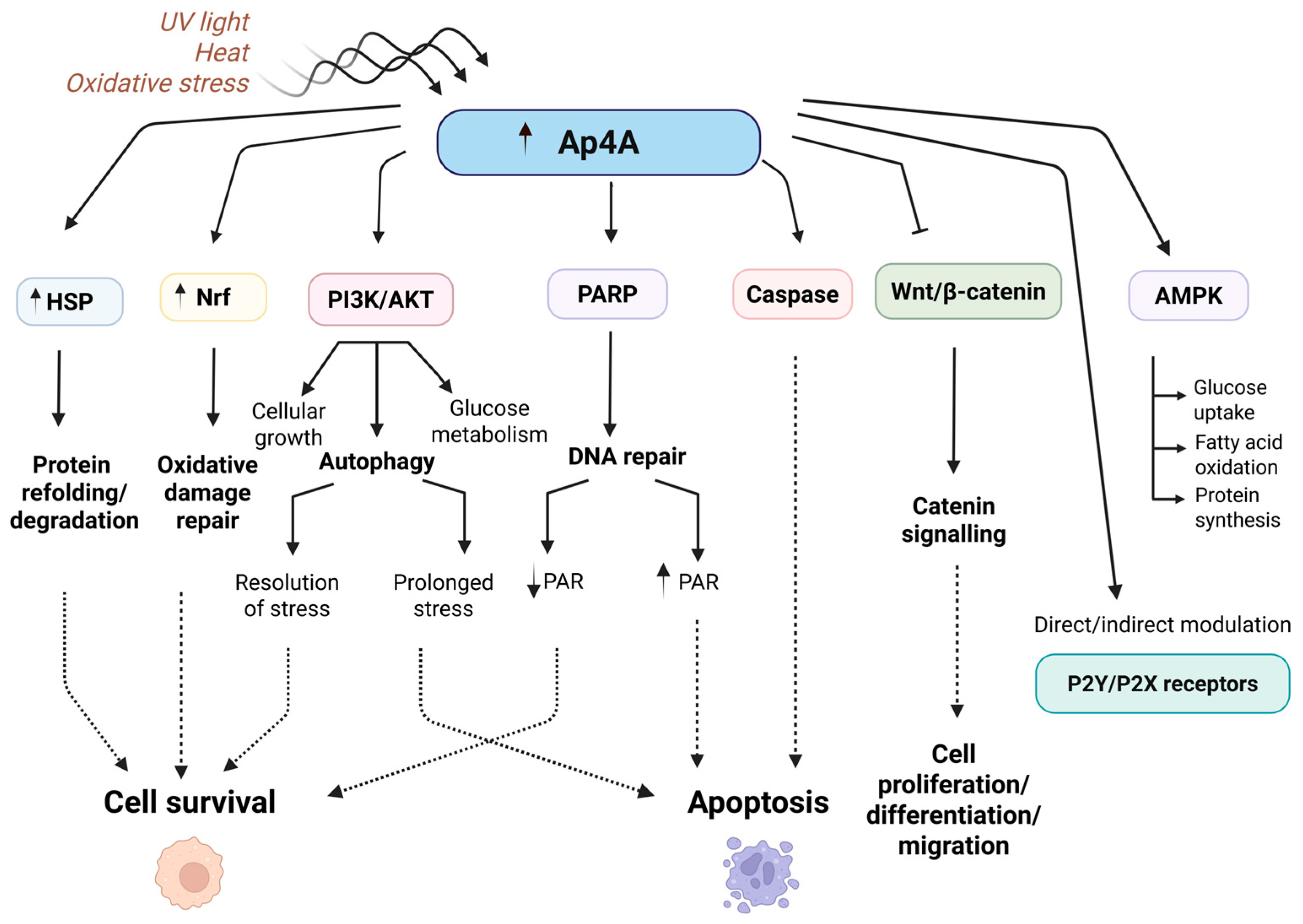 Molecules 30 03056 g002