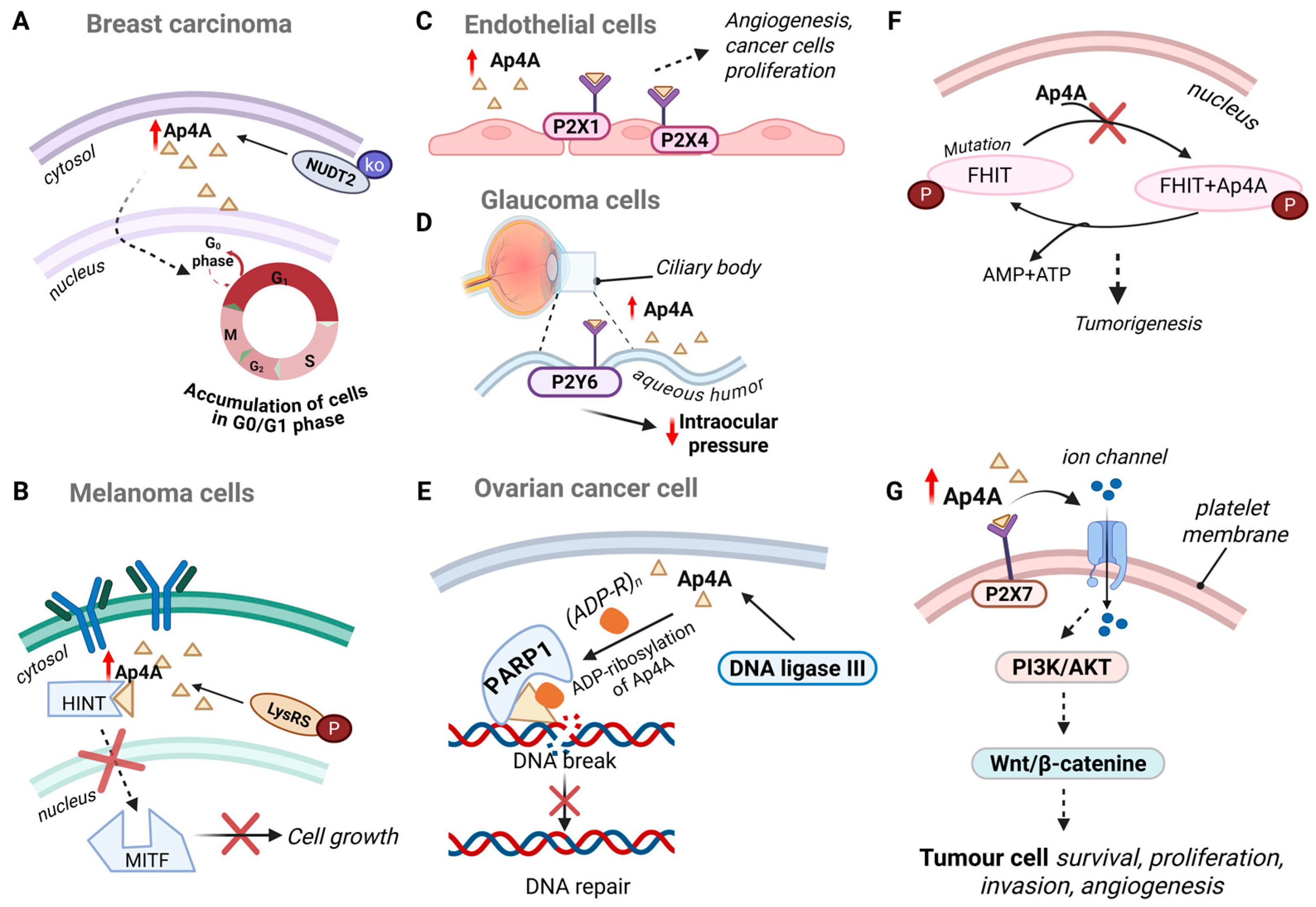 Molecules 30 03056 g003
