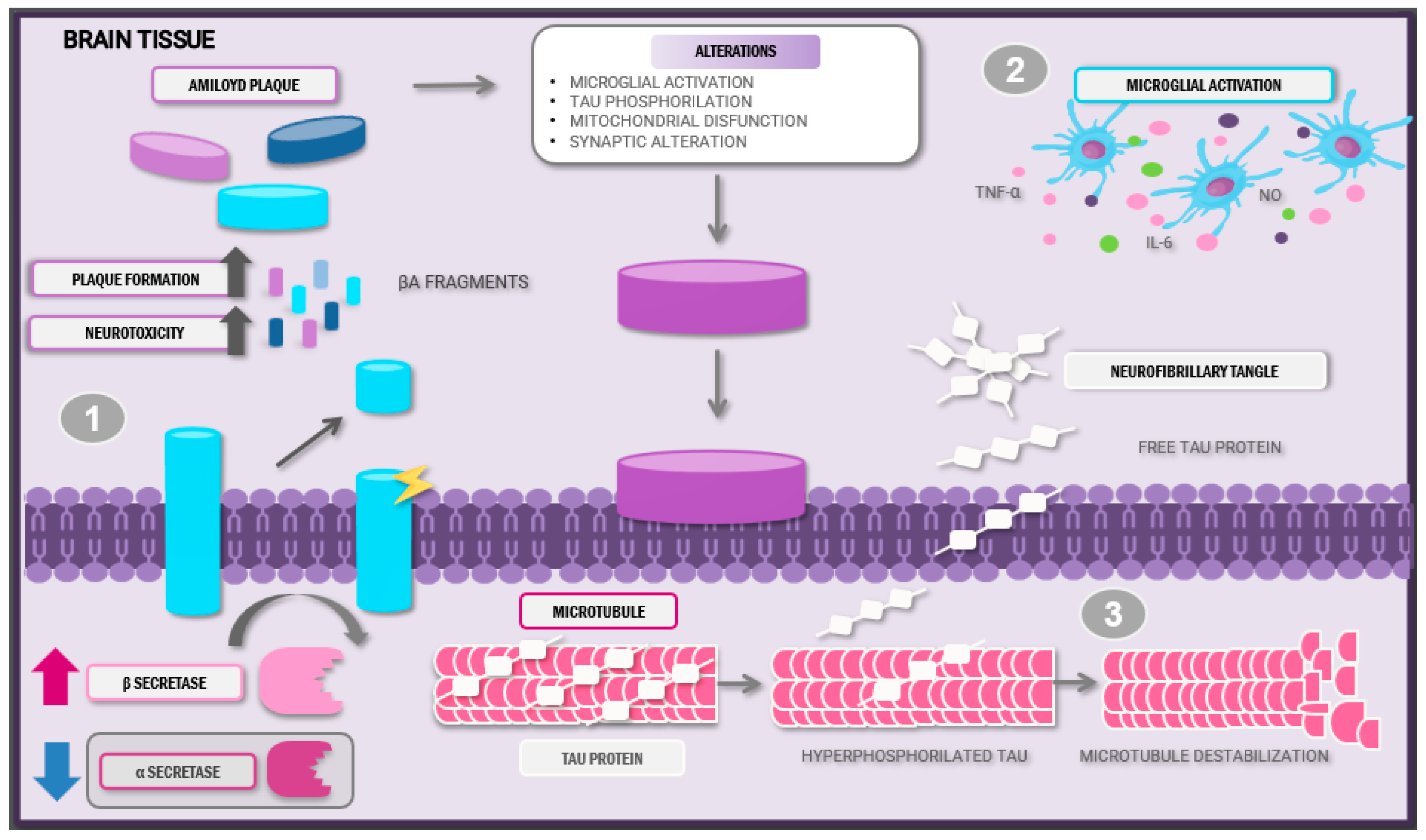 Molecules 30 03057 g001 Molecules 30 03057 g001
