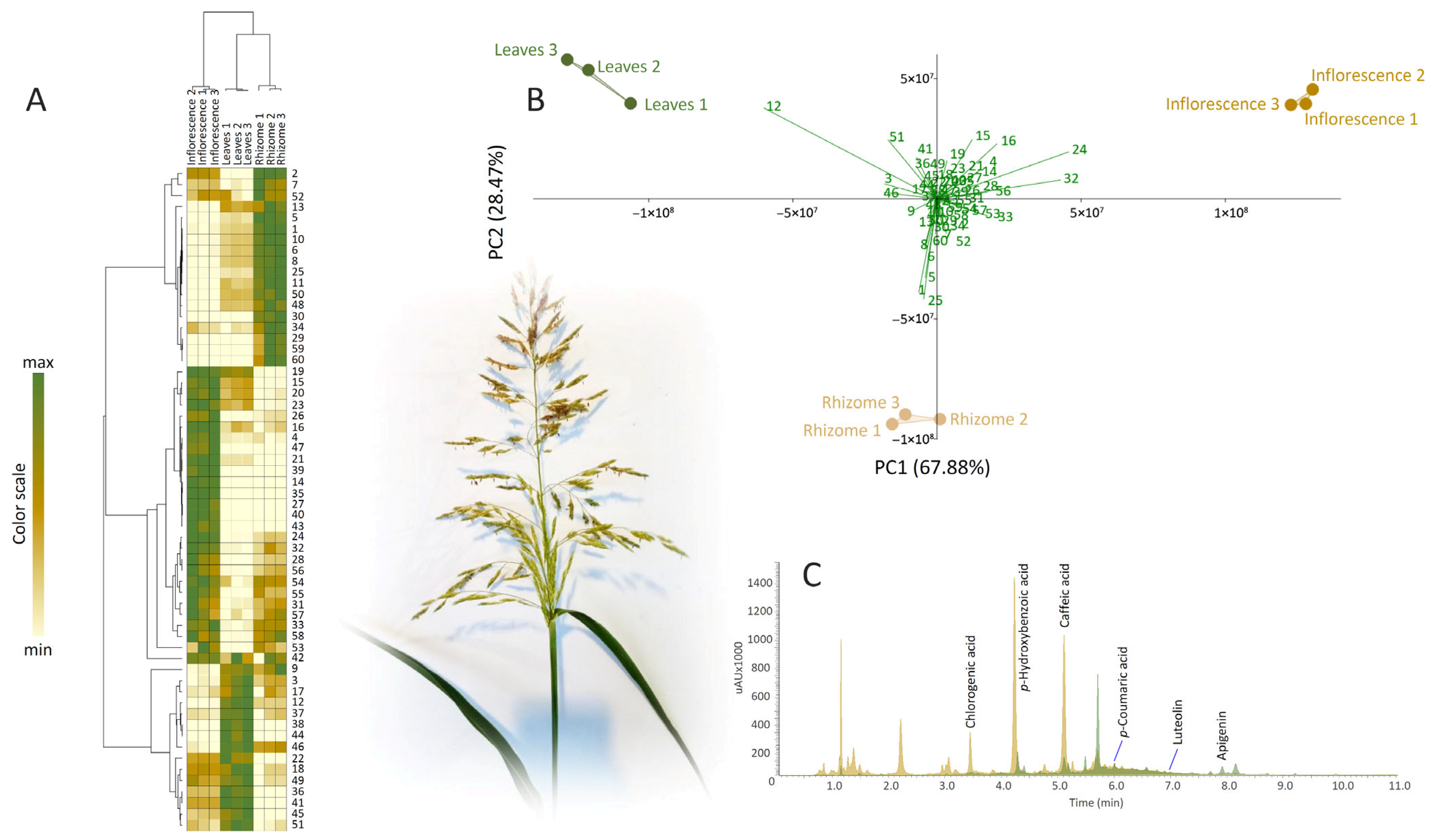Molecules 30 03060 g001