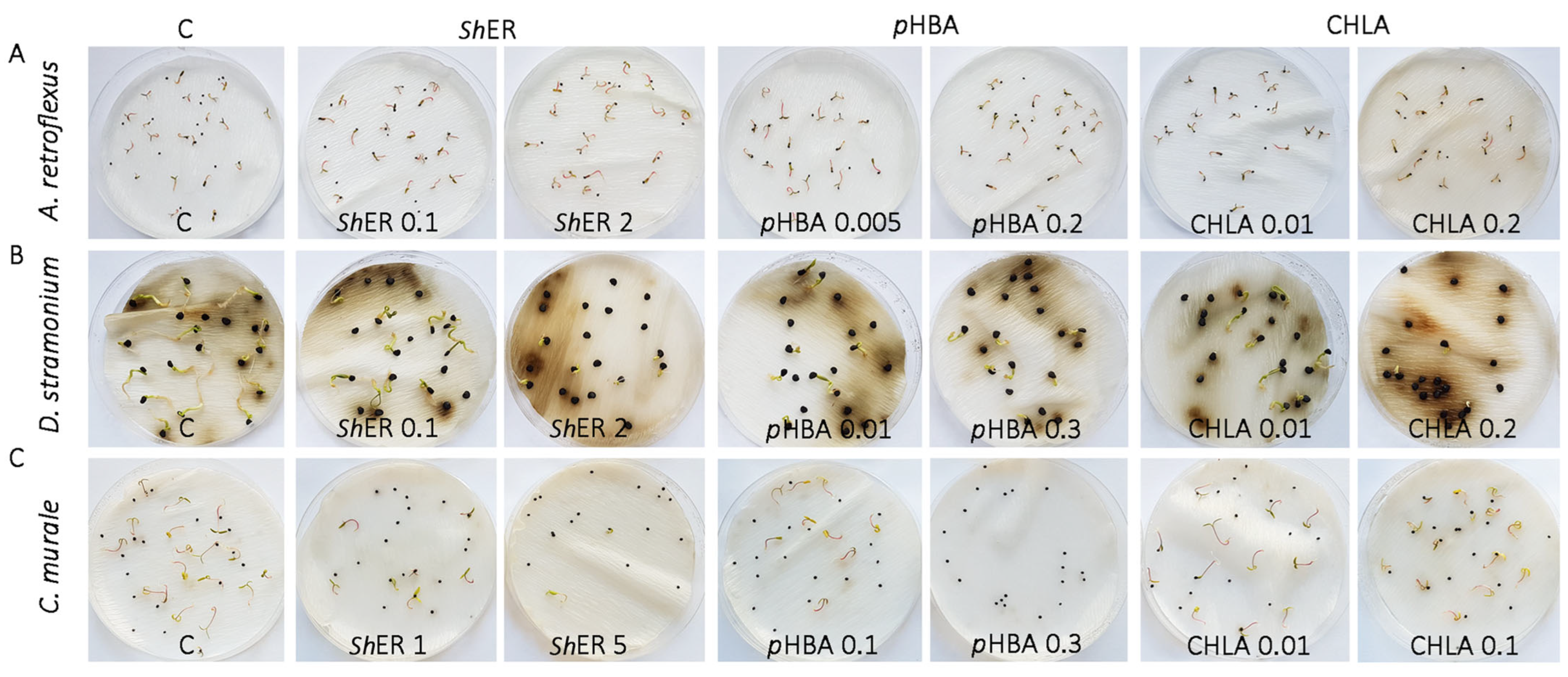Molecules 30 03060 g002