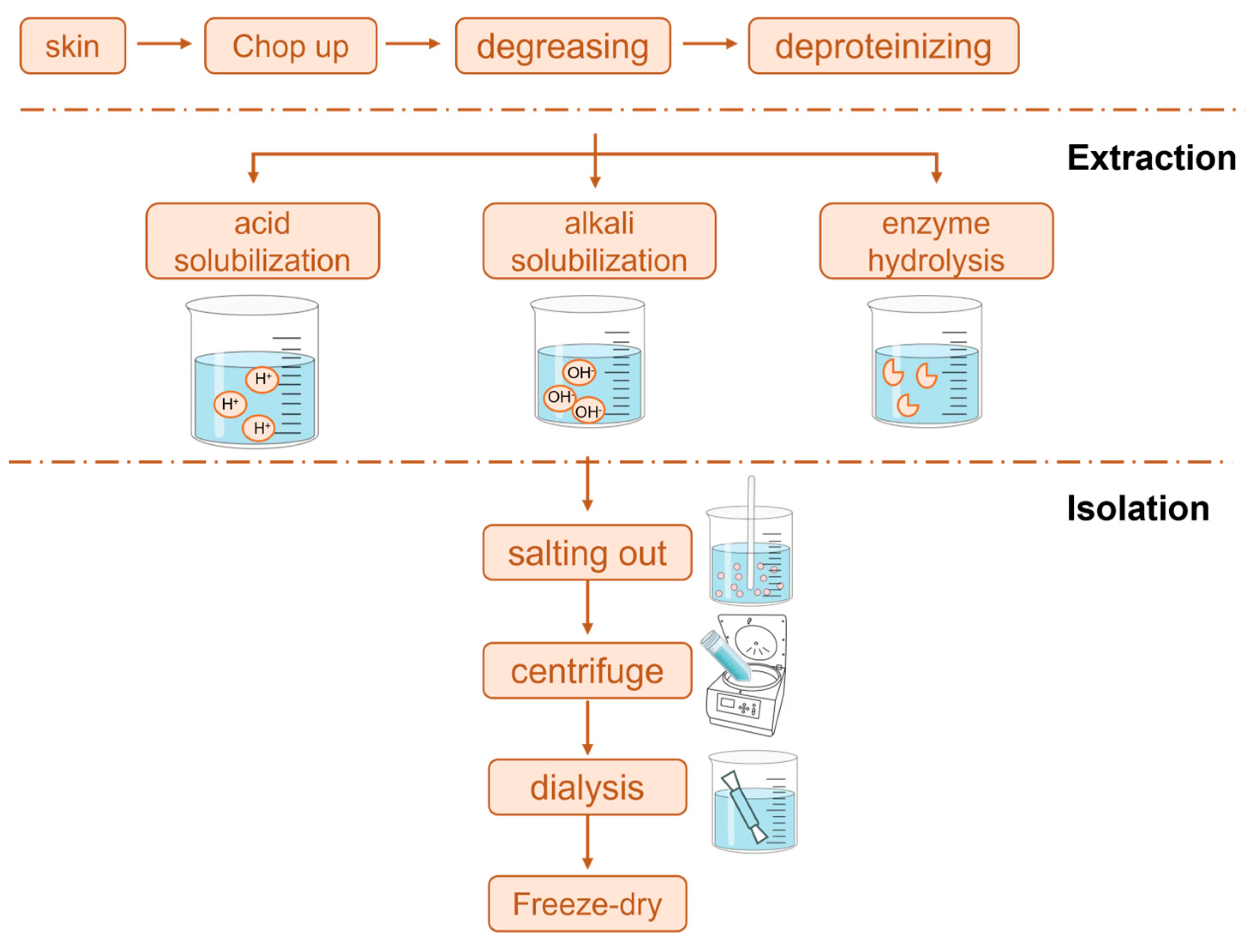Molecules 30 03061 g001