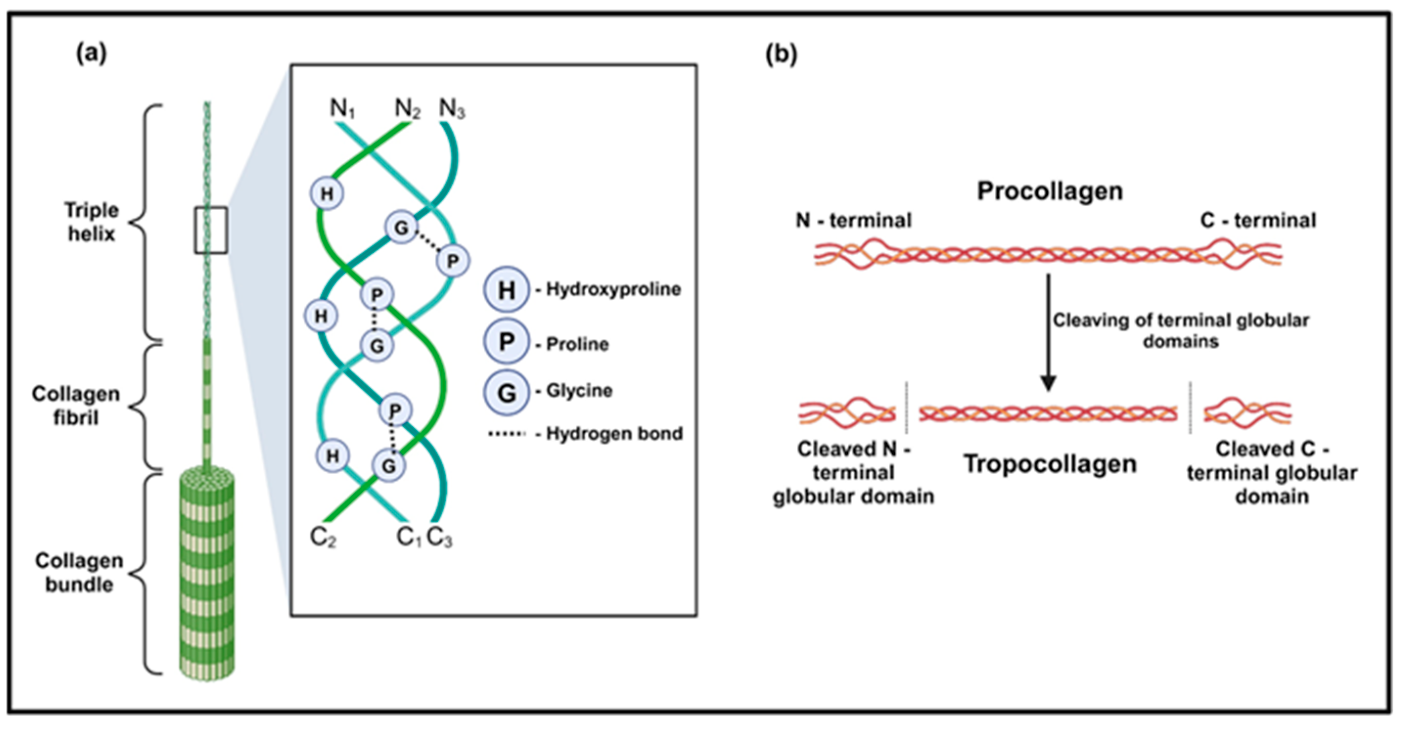 Molecules 30 03061 g002