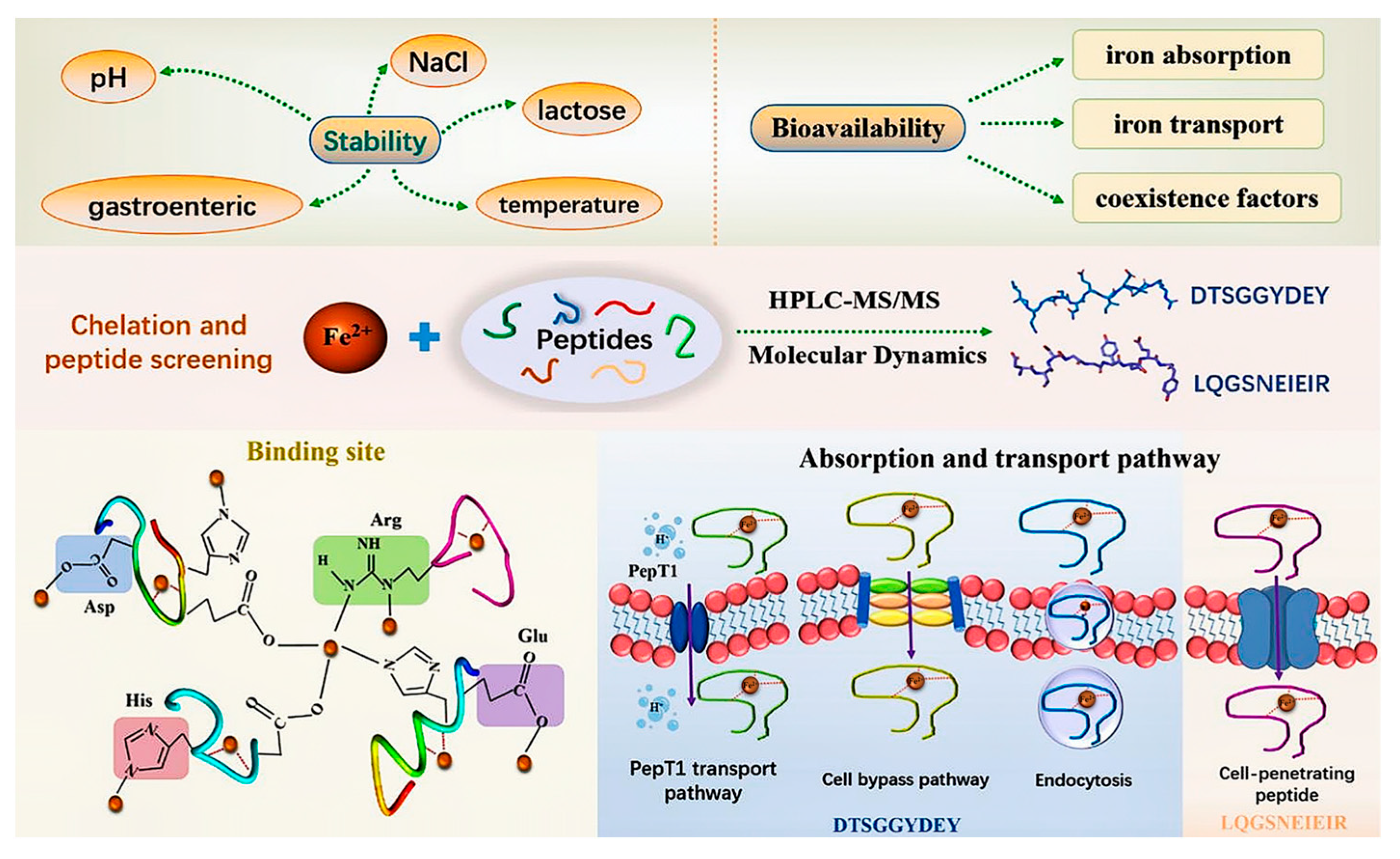 Molecules 30 03061 g005