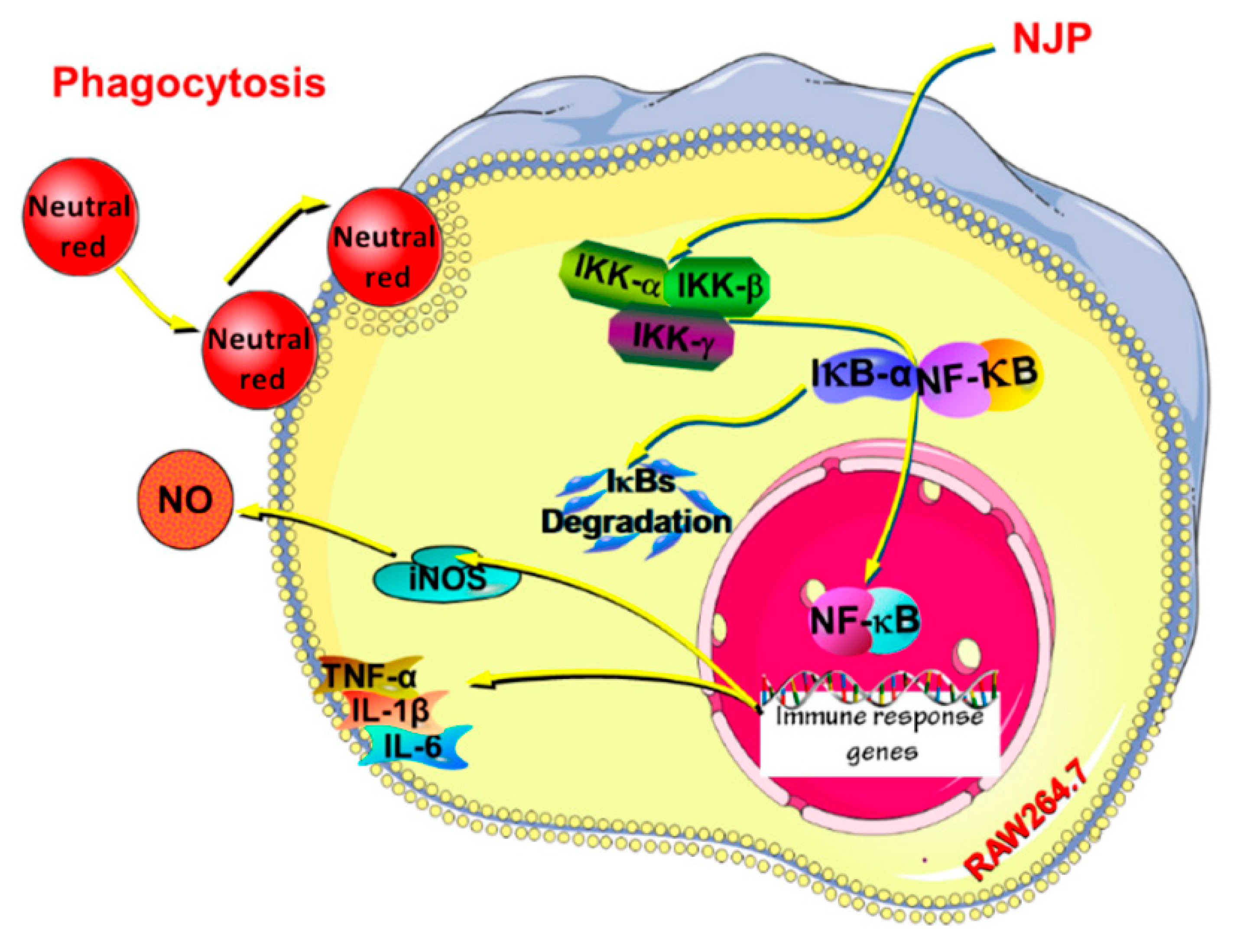 Molecules 30 03061 g007