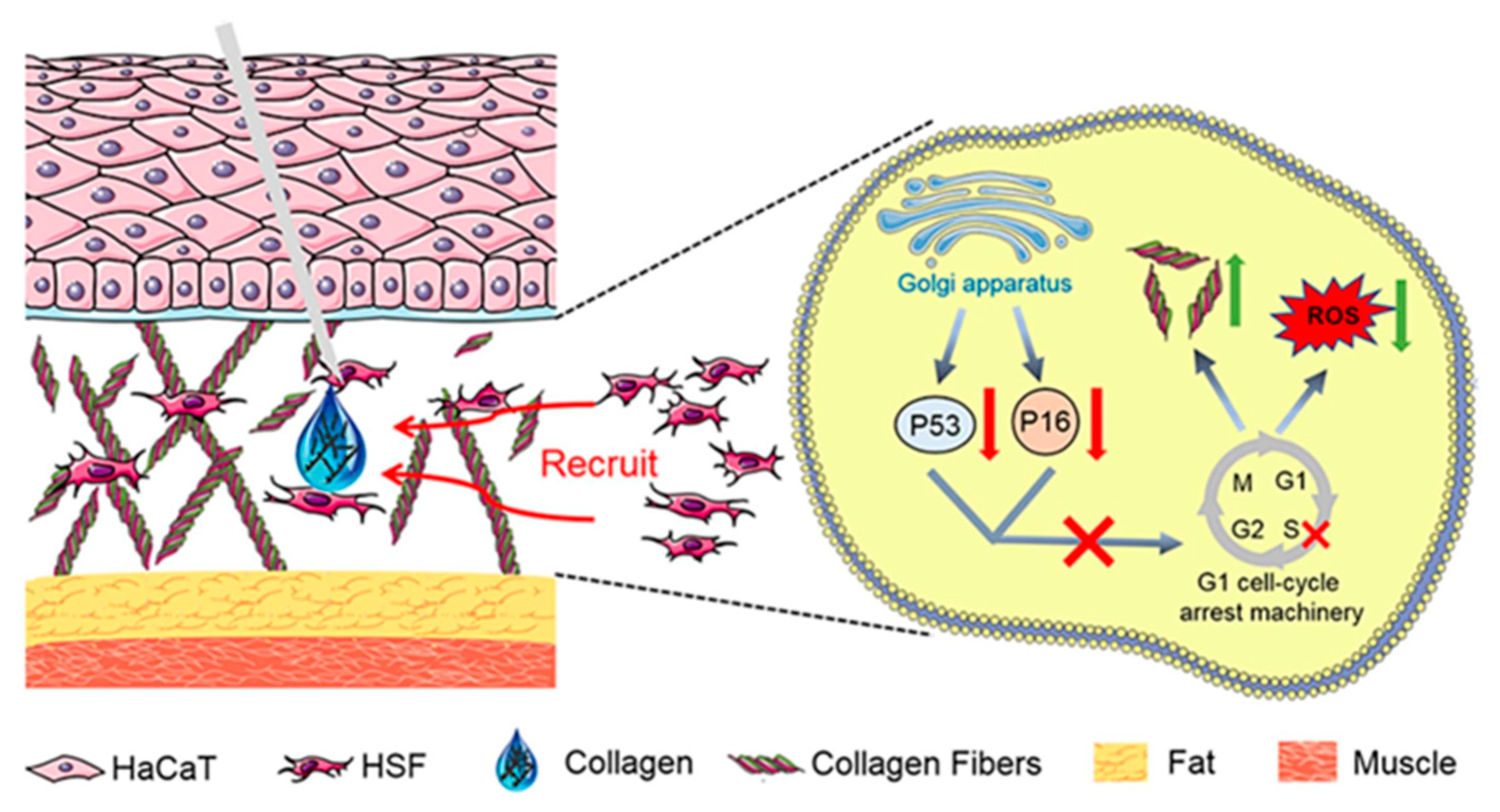 Molecules 30 03061 g008