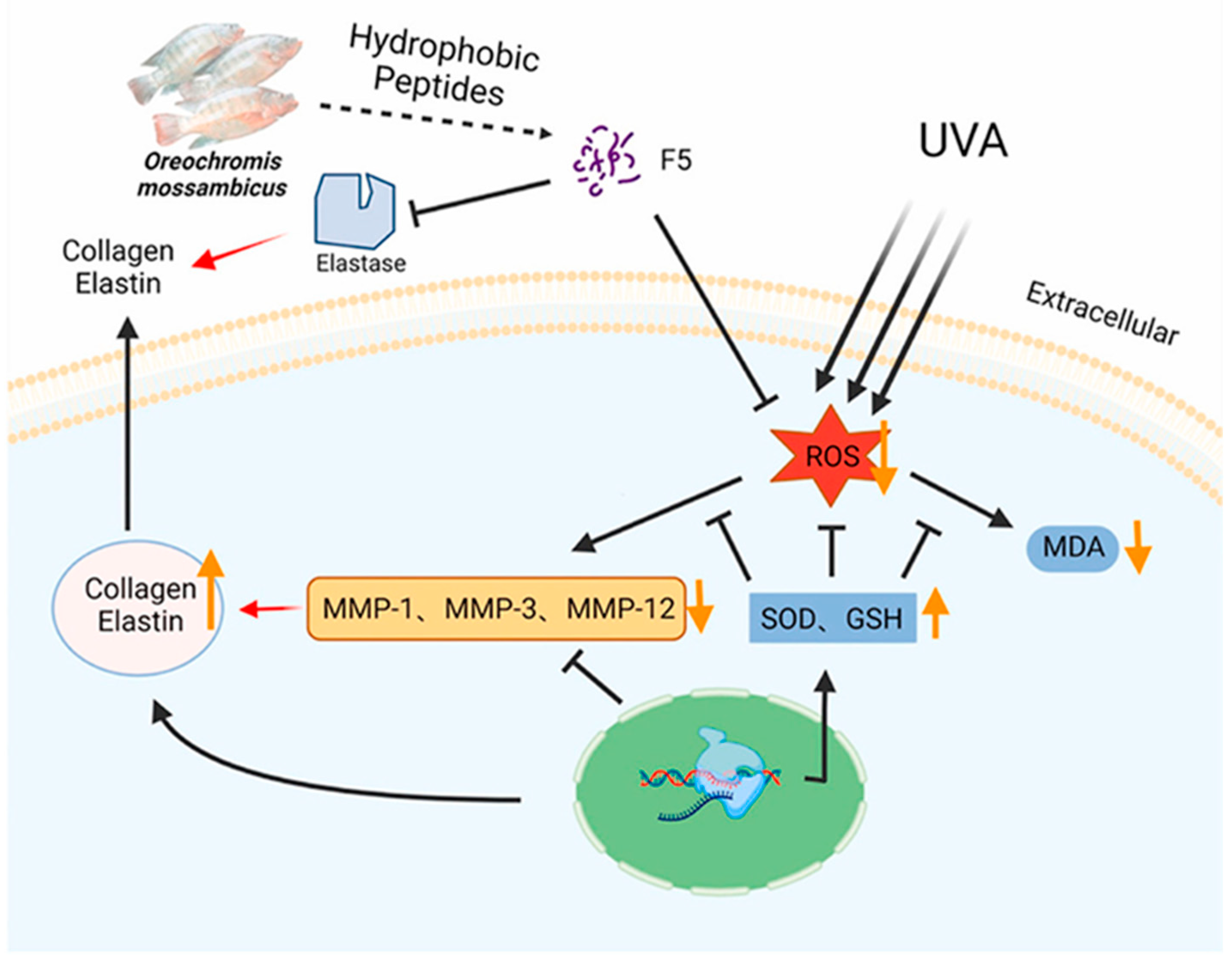 Molecules 30 03061 g009