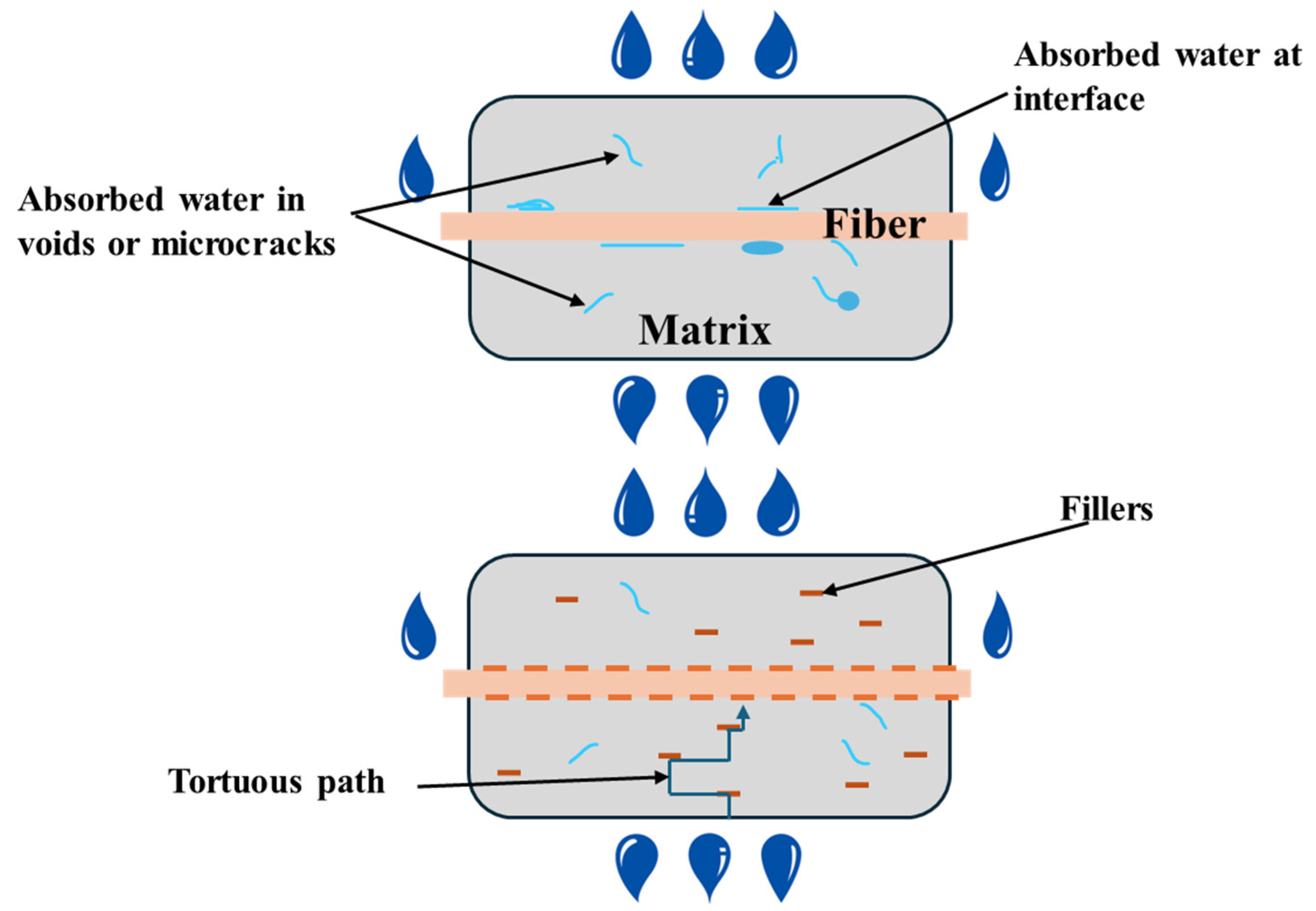 Molecules 30 03062 g001