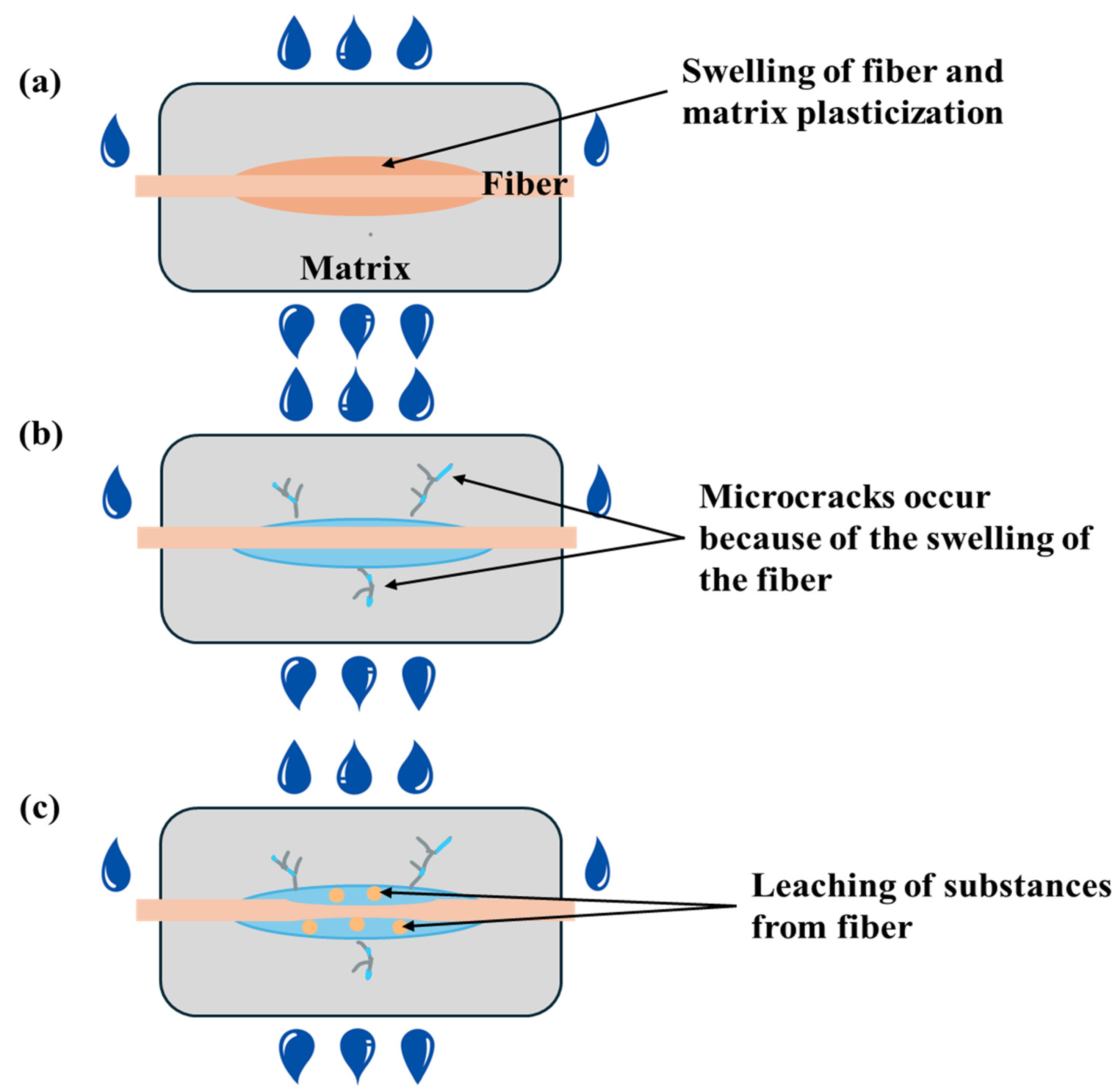 Molecules 30 03062 g002