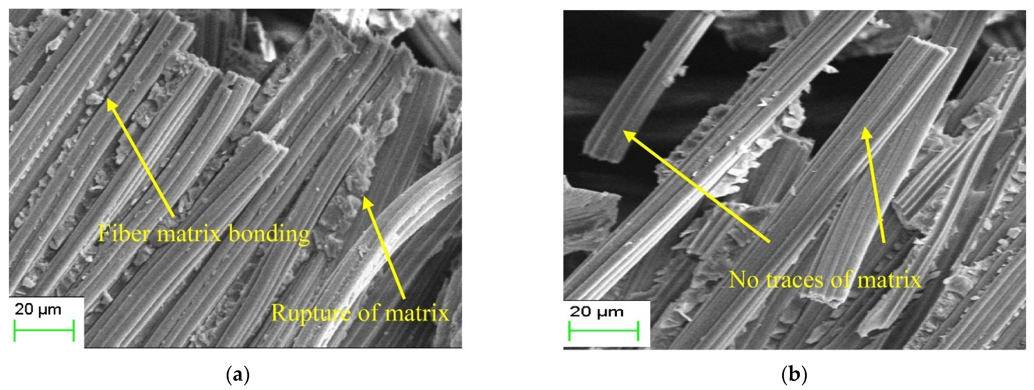 Molecules 30 03062 g003