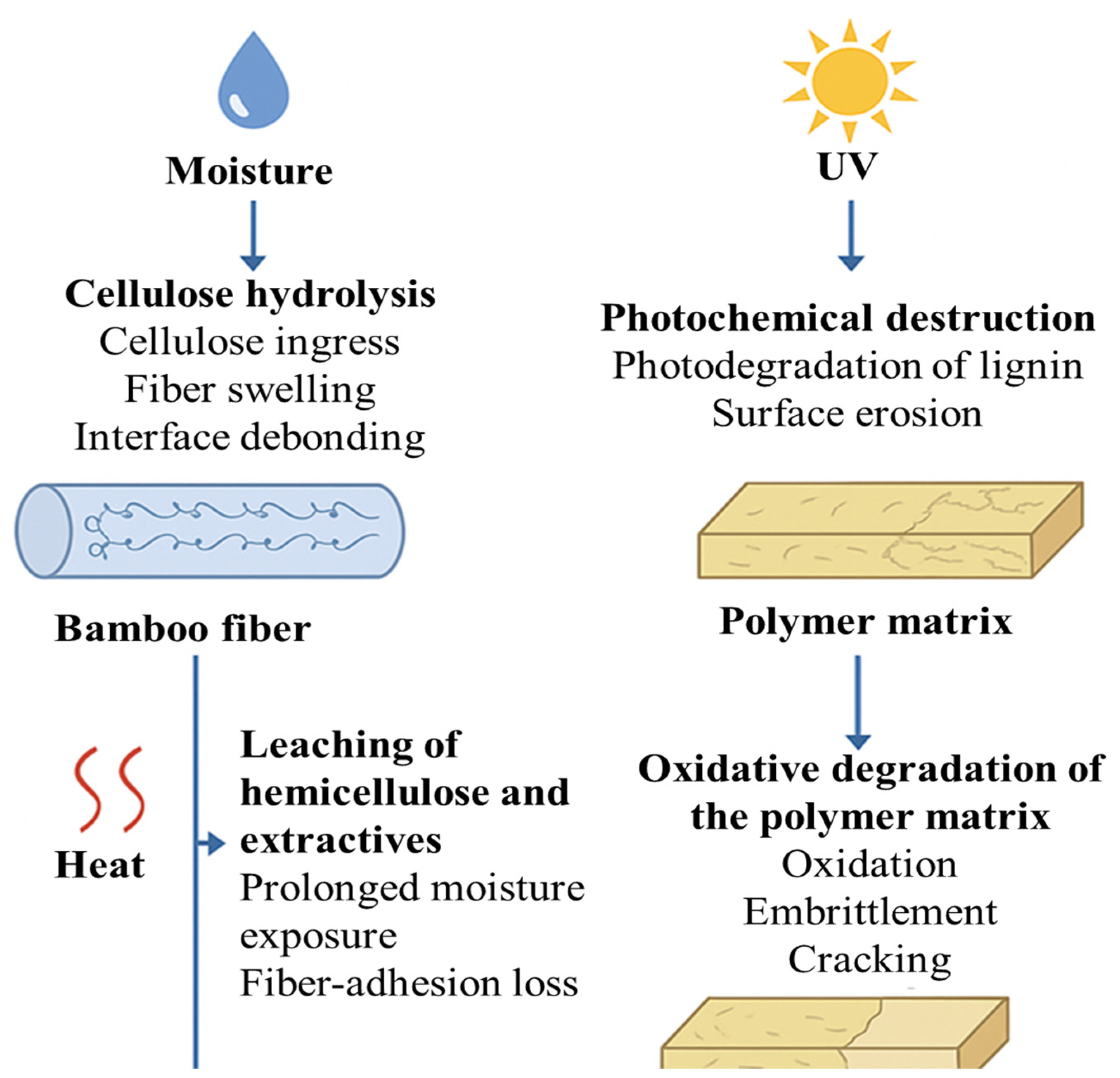 Molecules 30 03062 g004