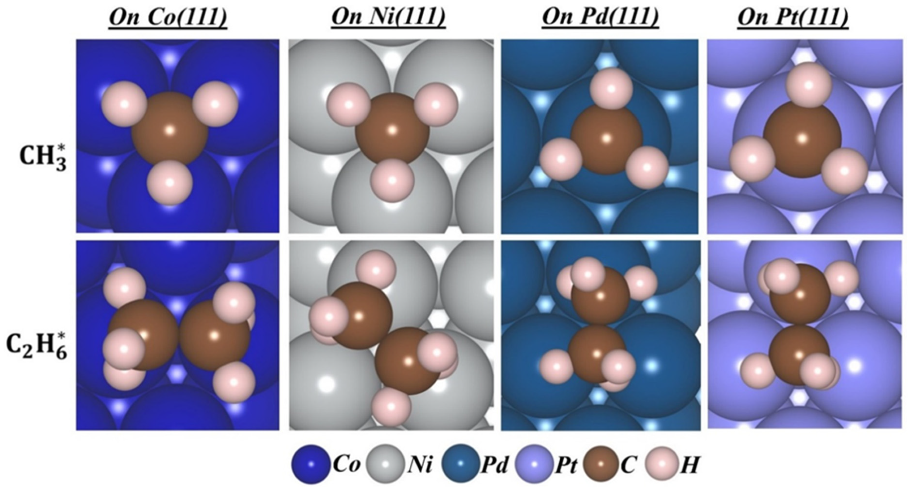 Molecules 30 03065 g001