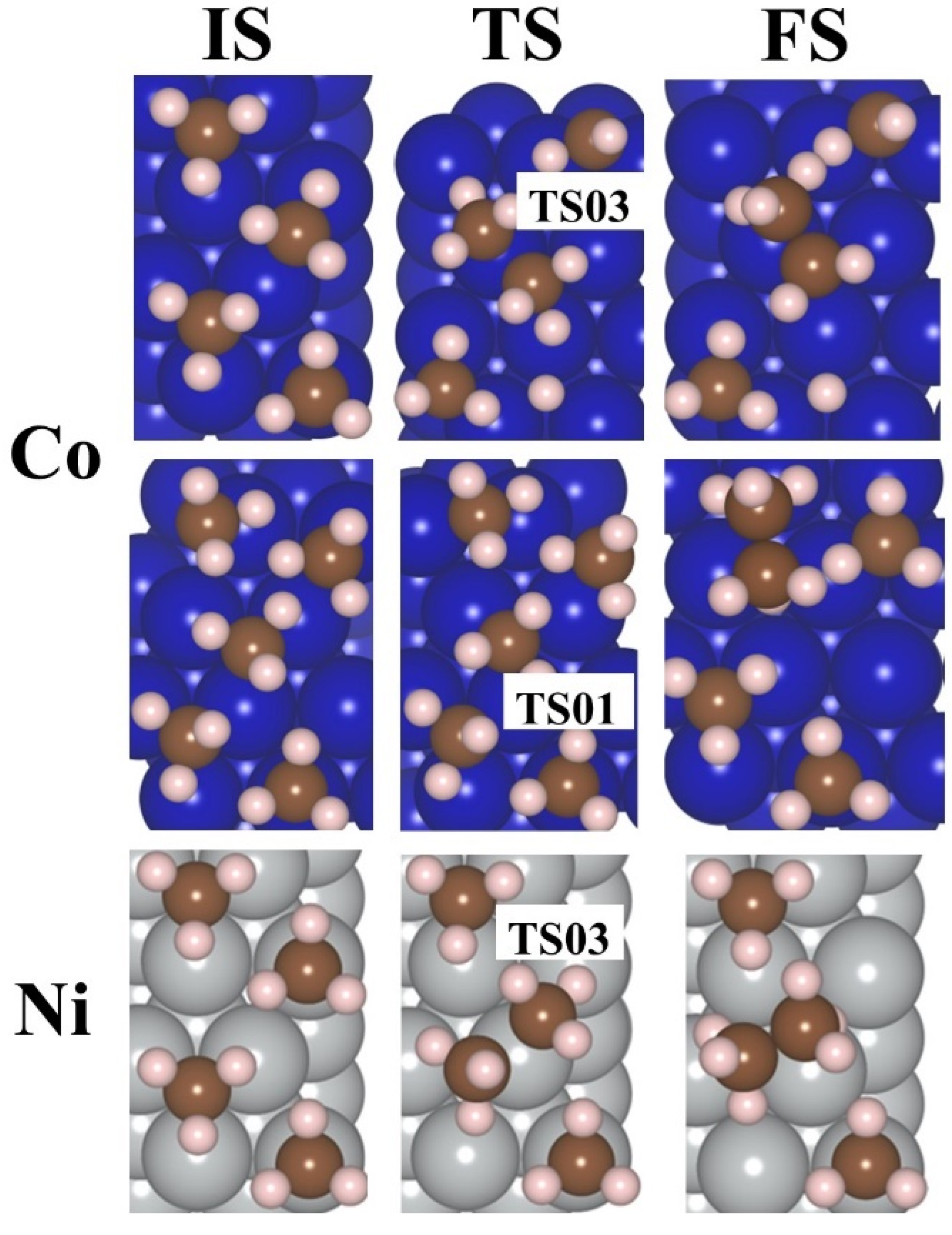Molecules 30 03065 g007