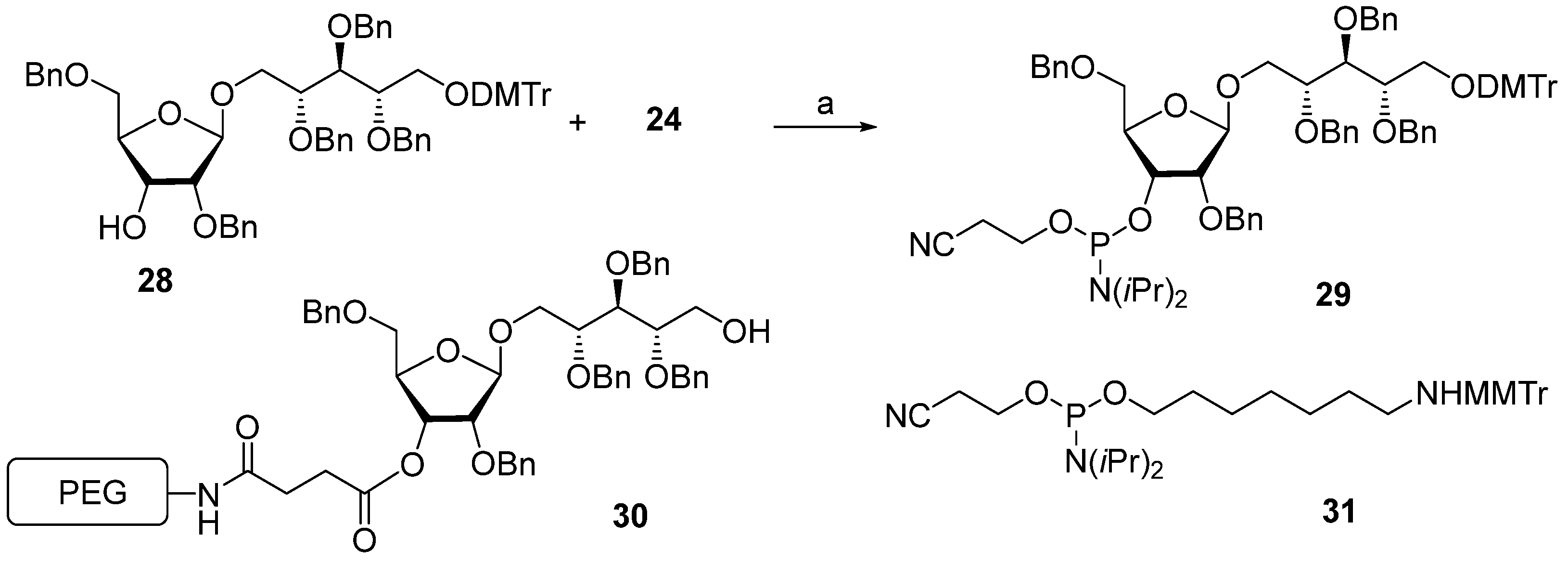 Molecules 30 03068 sch003
