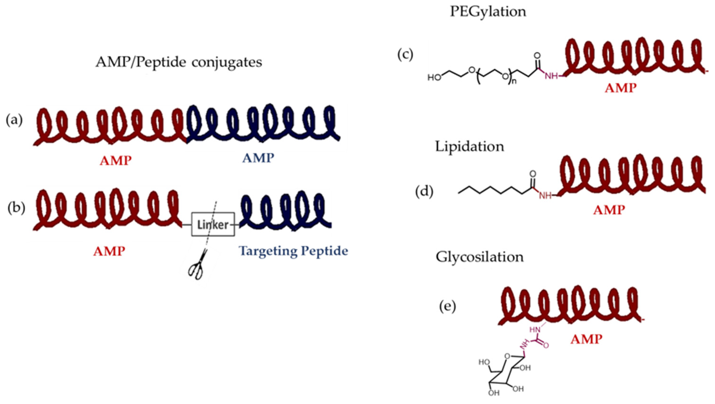 Molecules 30 03070 g006