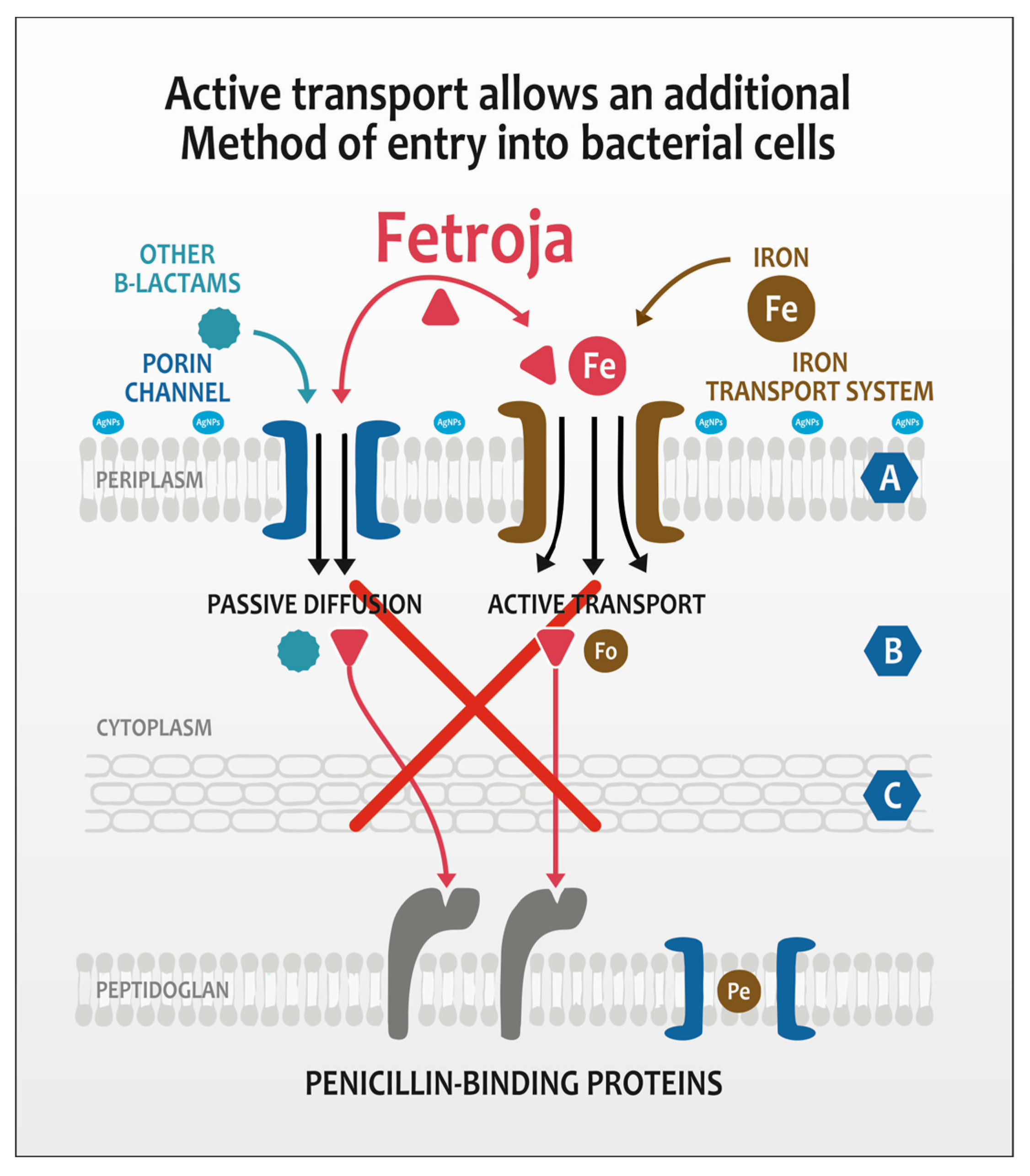 Molecules 30 03072 g005