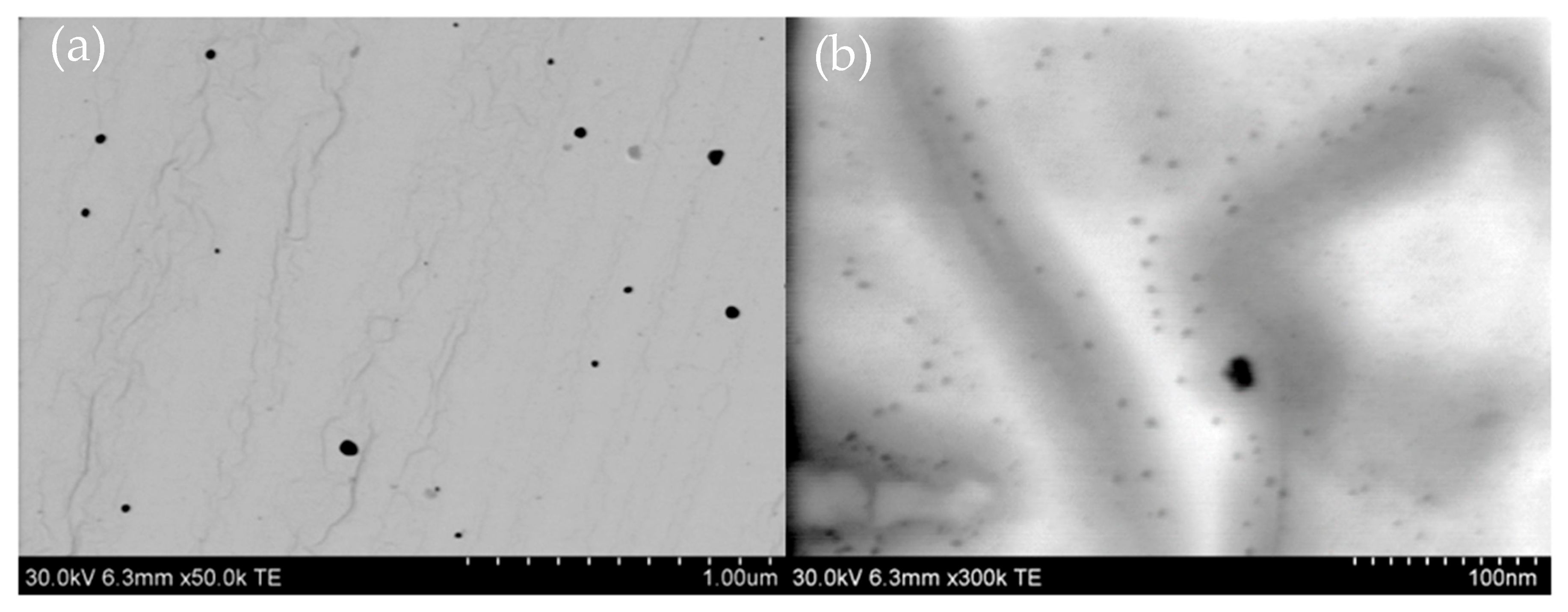 Molecules 30 03072 g007