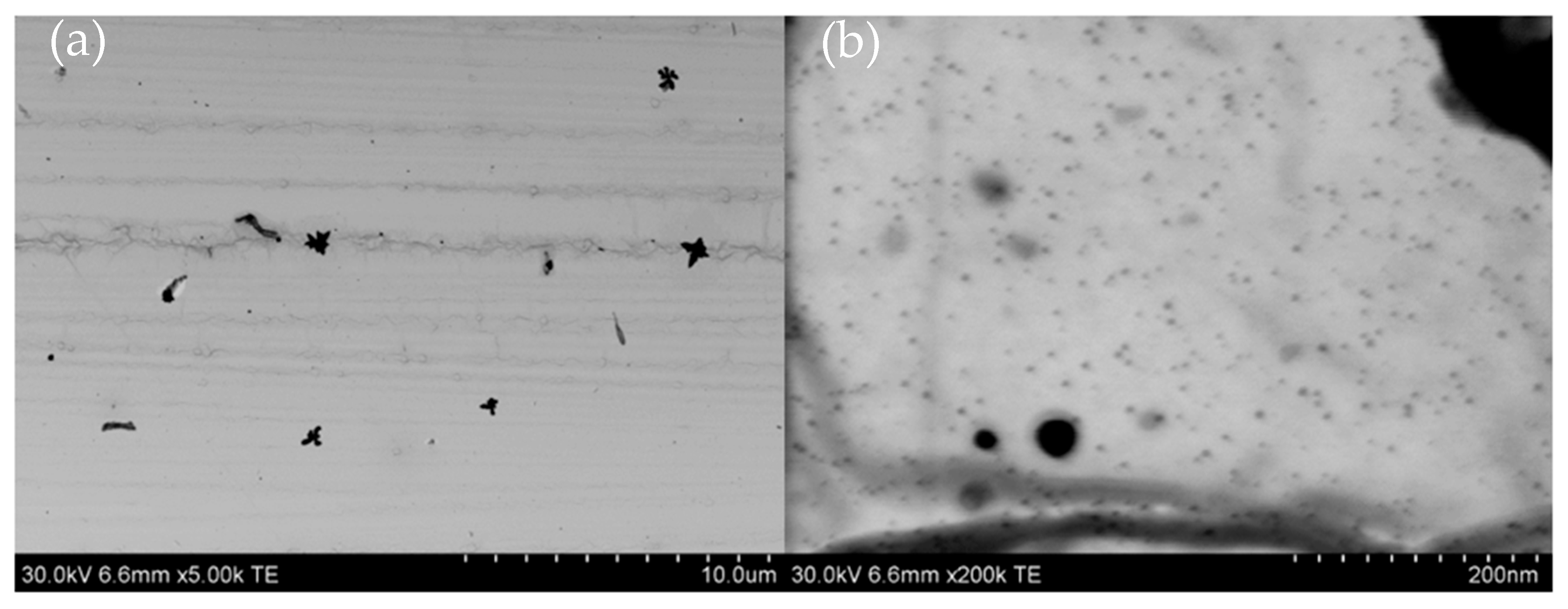 Molecules 30 03072 g008