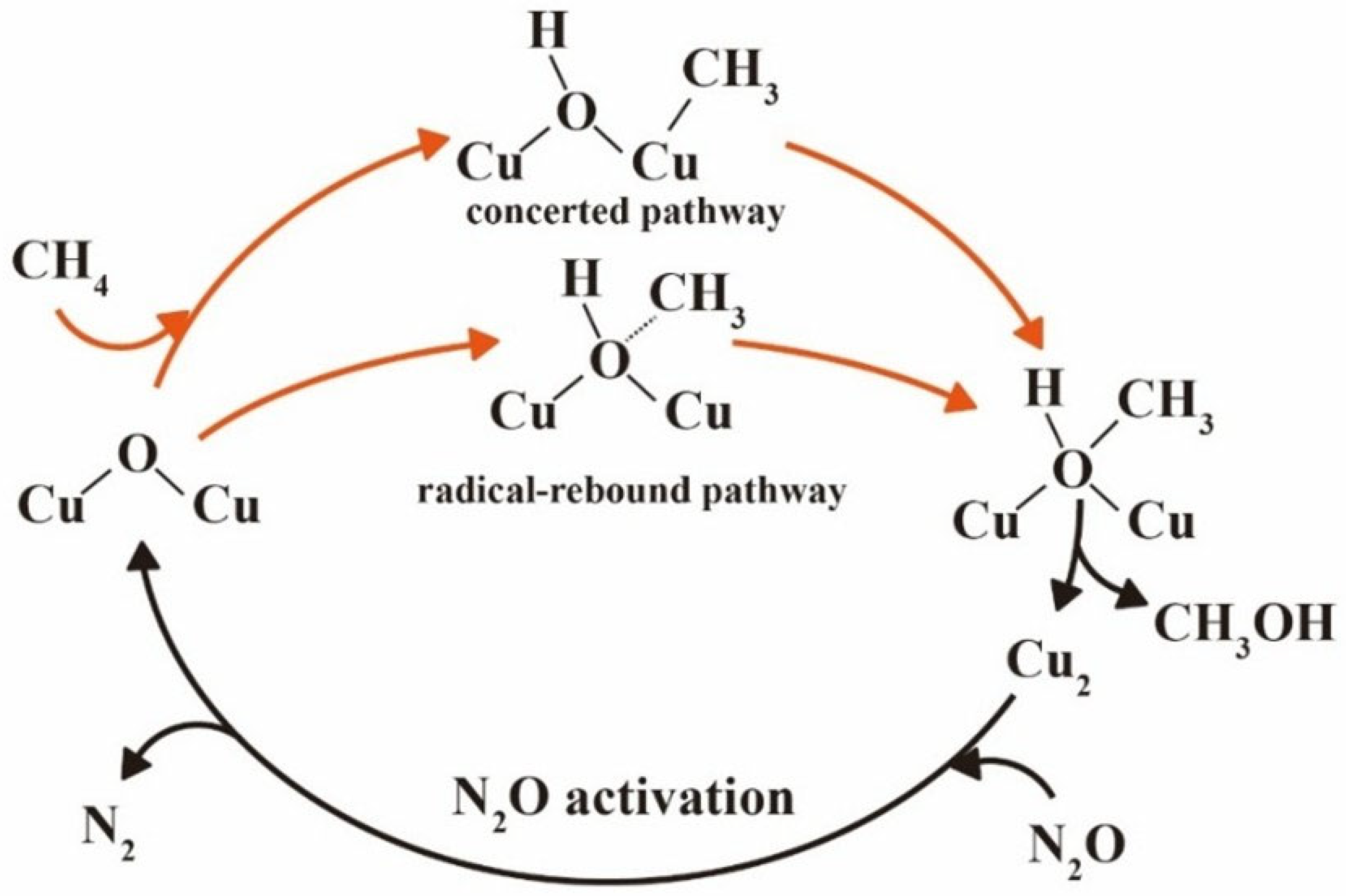 Molecules 30 03073 g003